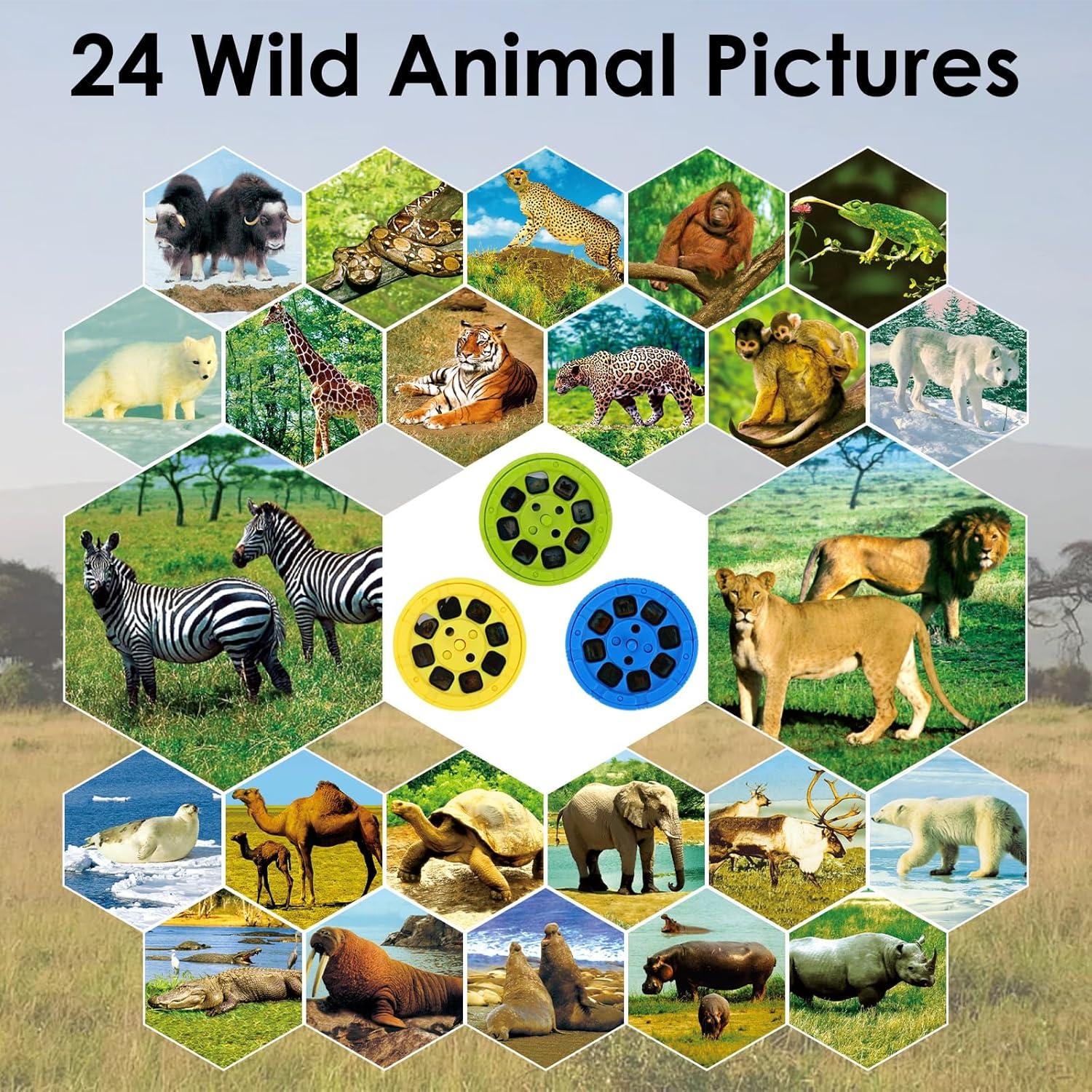 Proyector de Linterna para Niños Pup Go con 24 Imágenes