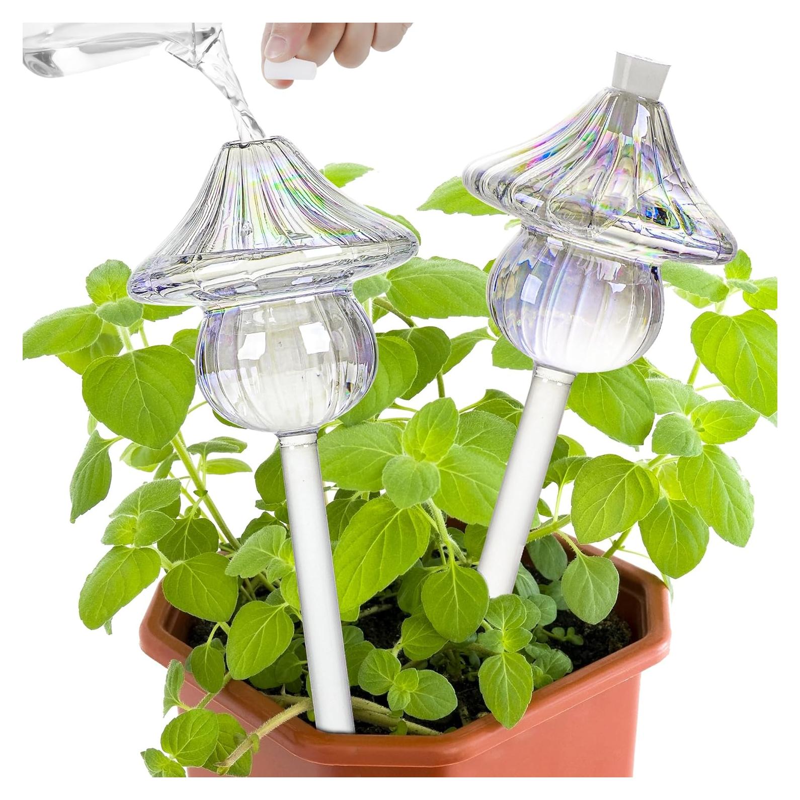 Esferas de Riego para Plantas Kaimfdg - 2 PZS de Vidrio