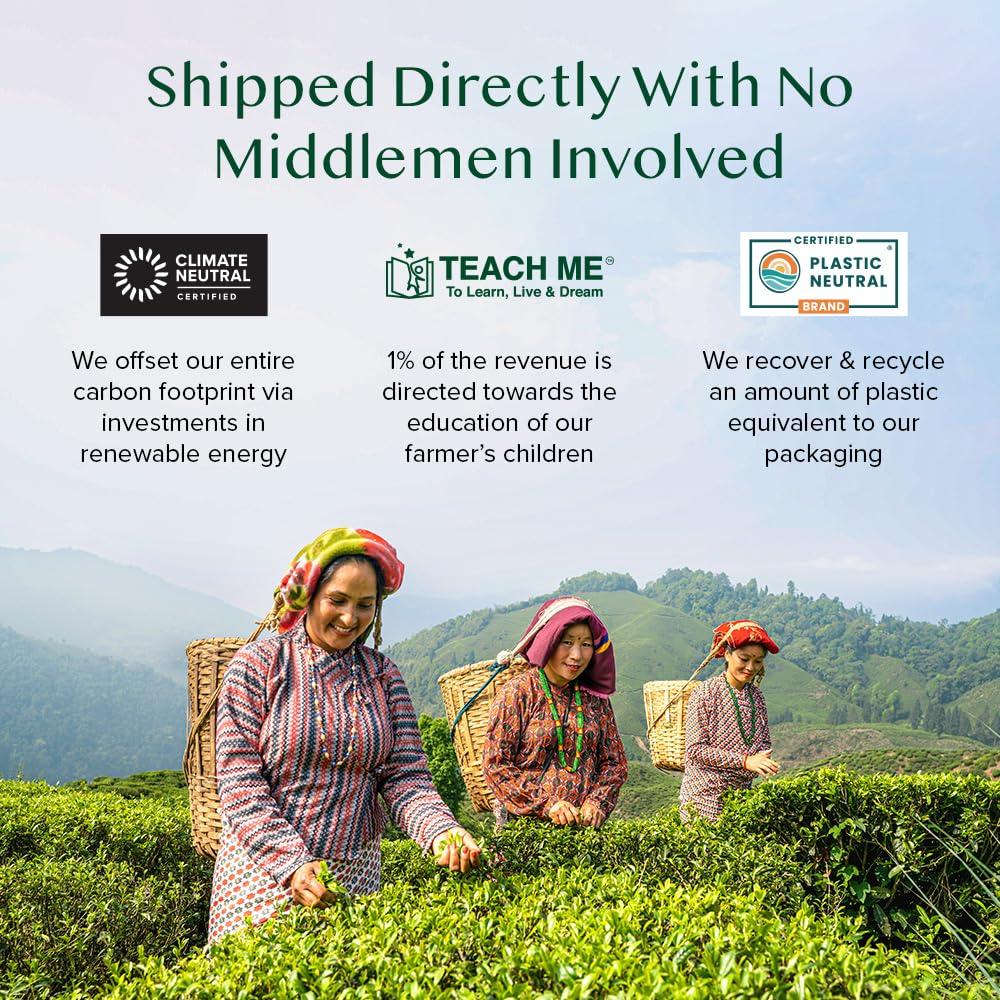 Bolsitas de Té de Jengibre VAHDAM 100 Unidades Ecológicas