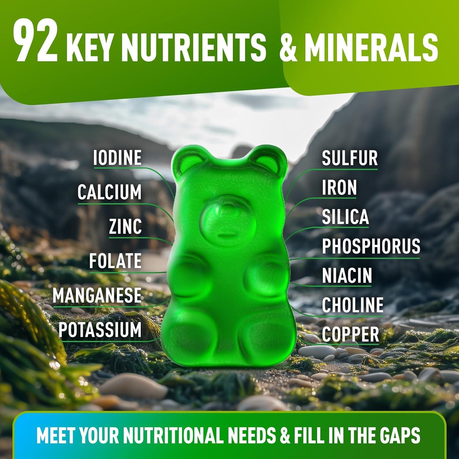 Gomitas de Musgo Marino BioVit - 60 Gomitas Veganas Sin Azúcar