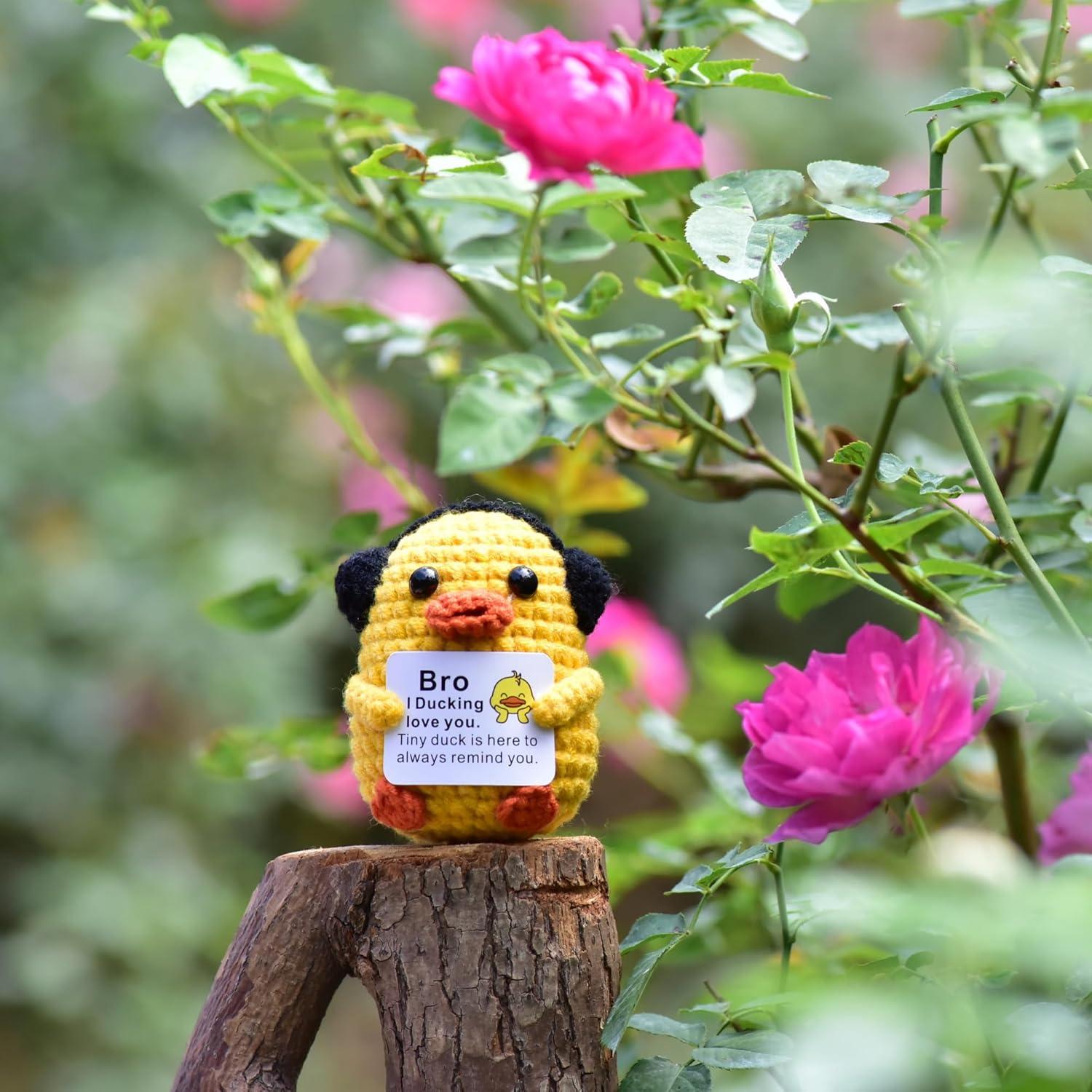 Pato de Ganchillo Positivo Qyqkfly para Hermano 01 - 5 cm