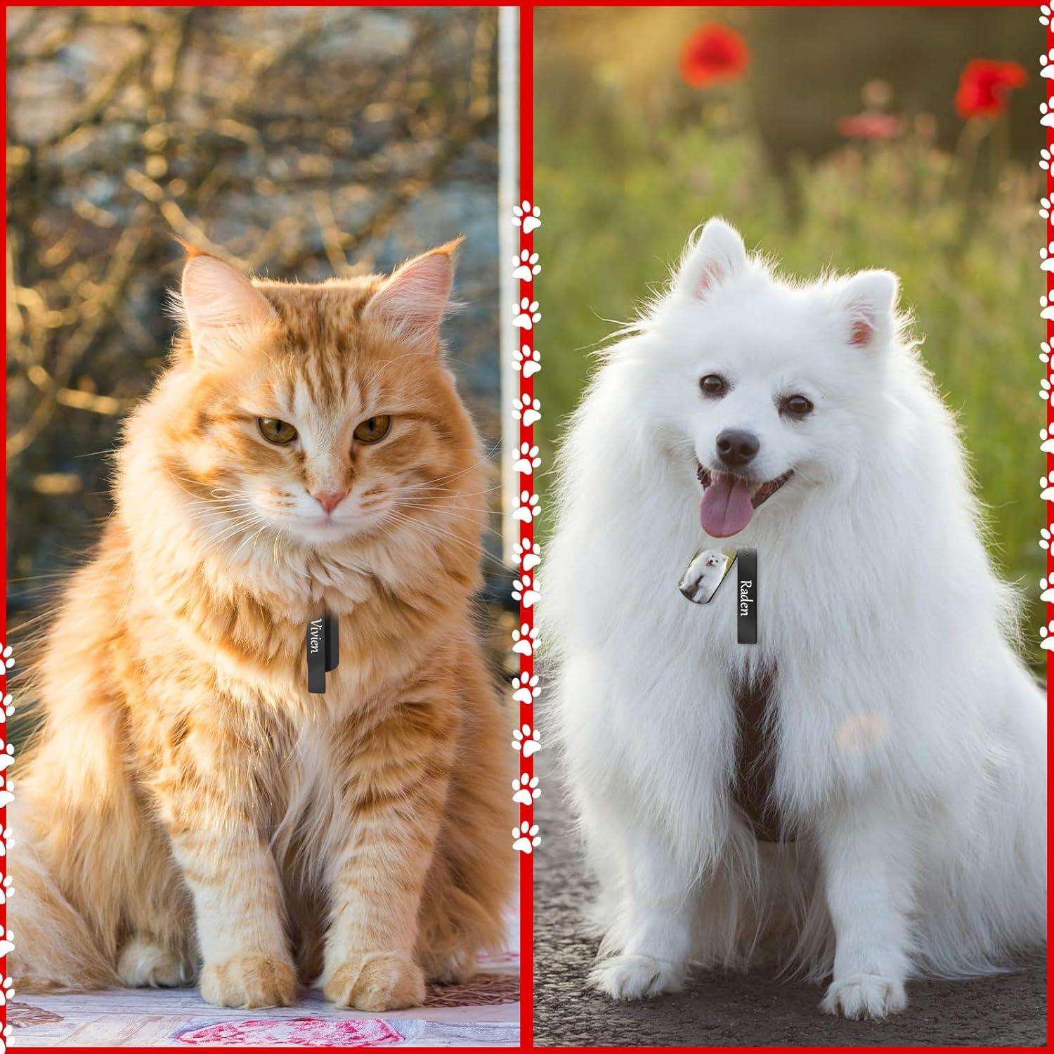 30 Etiquetas de Llave Grabables Gisafai en Acero Inoxidable