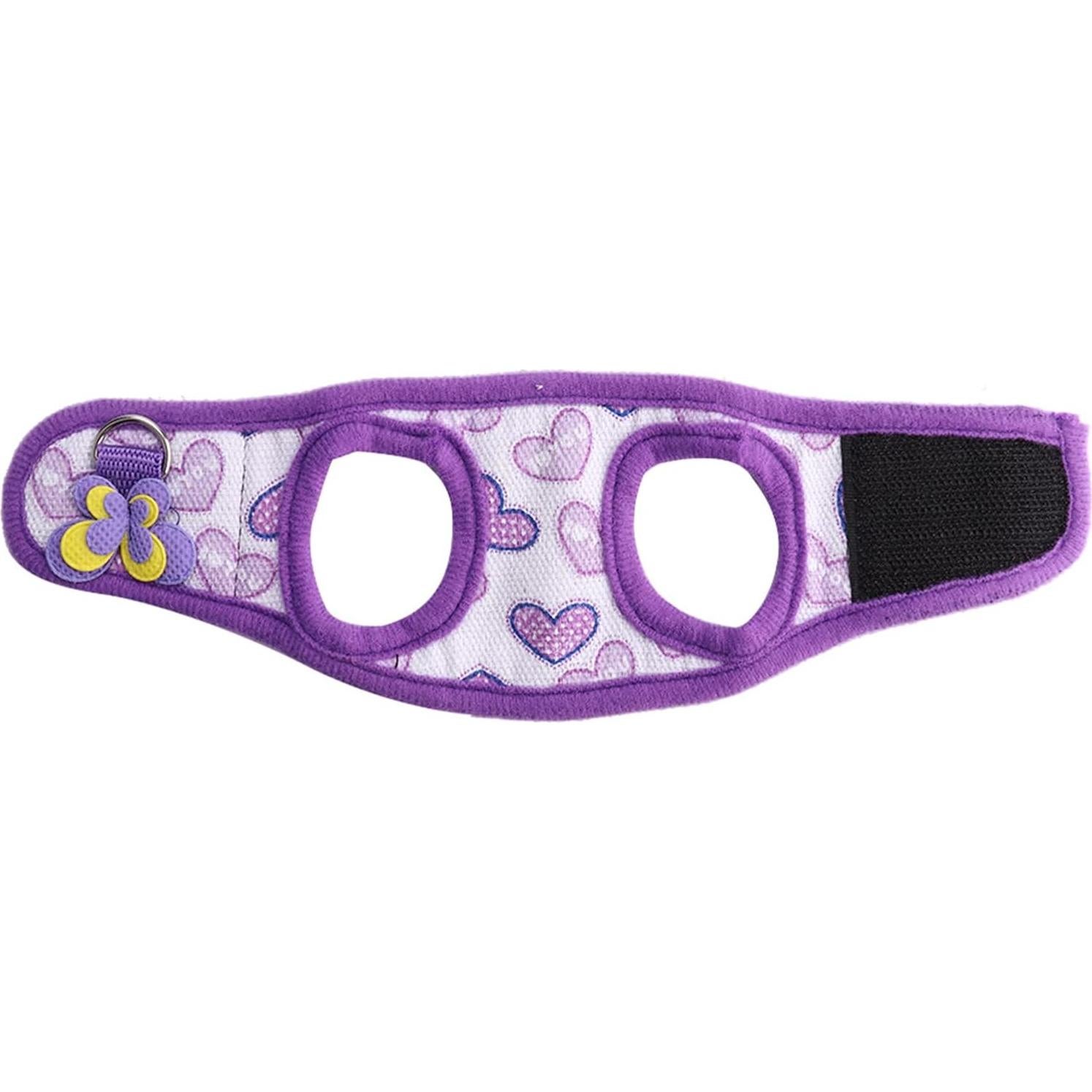 Pack 2 Arnés y Correa para Mascotas Pequeñas LIZEALUCKY S