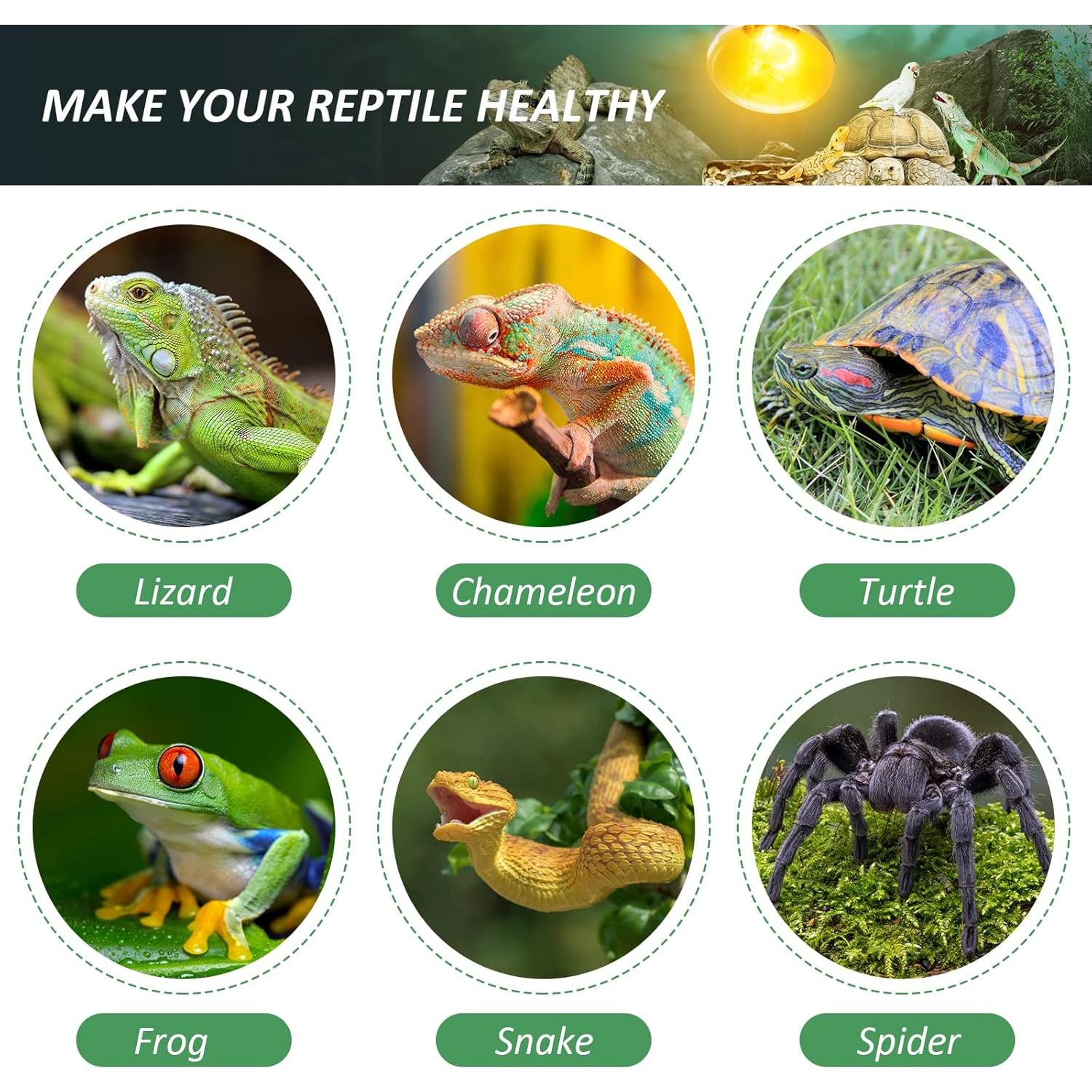 Bombilla de Calor para Reptiles MIXJOY 100W UVA UVB Espectro Completo