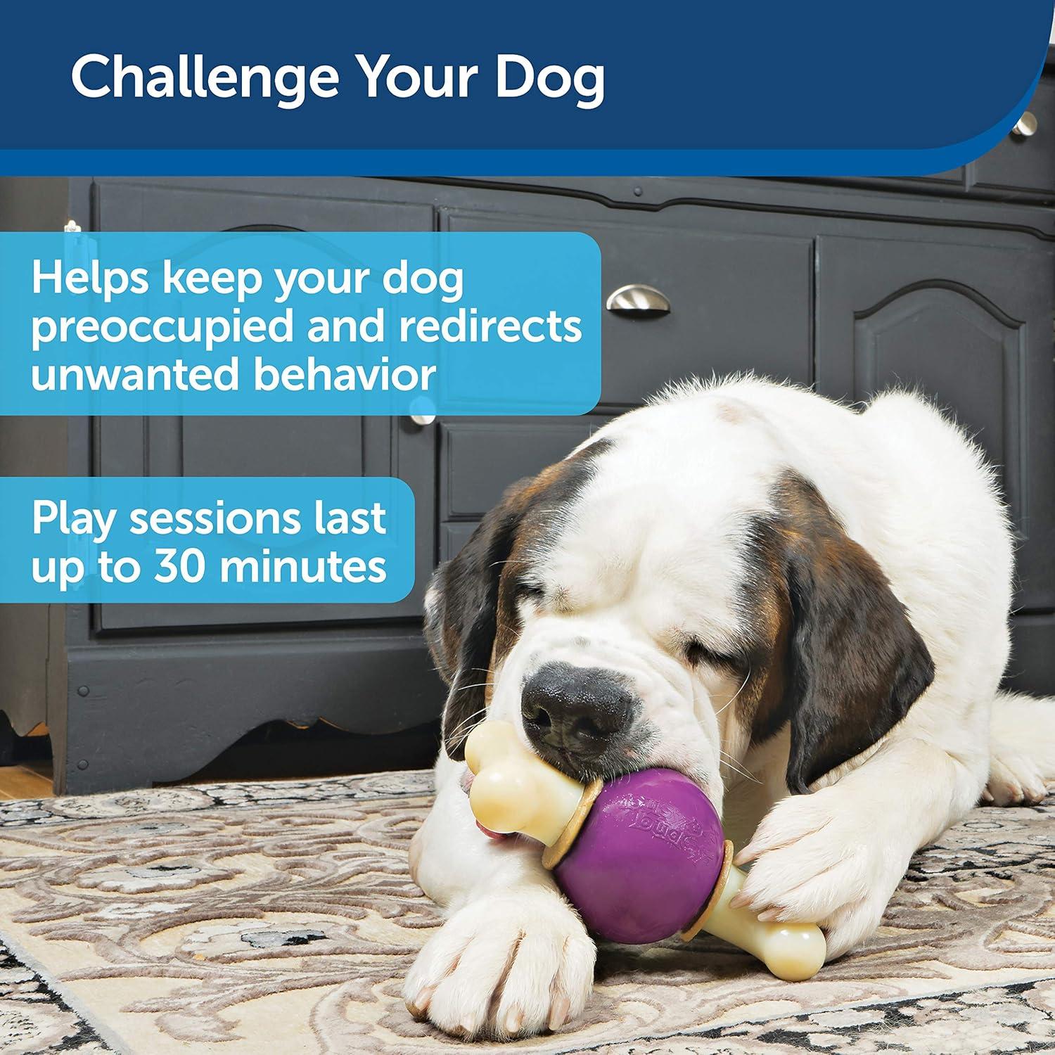 Juguete para Perros PetSafe Busy Buddy Bouncy Bone M/G