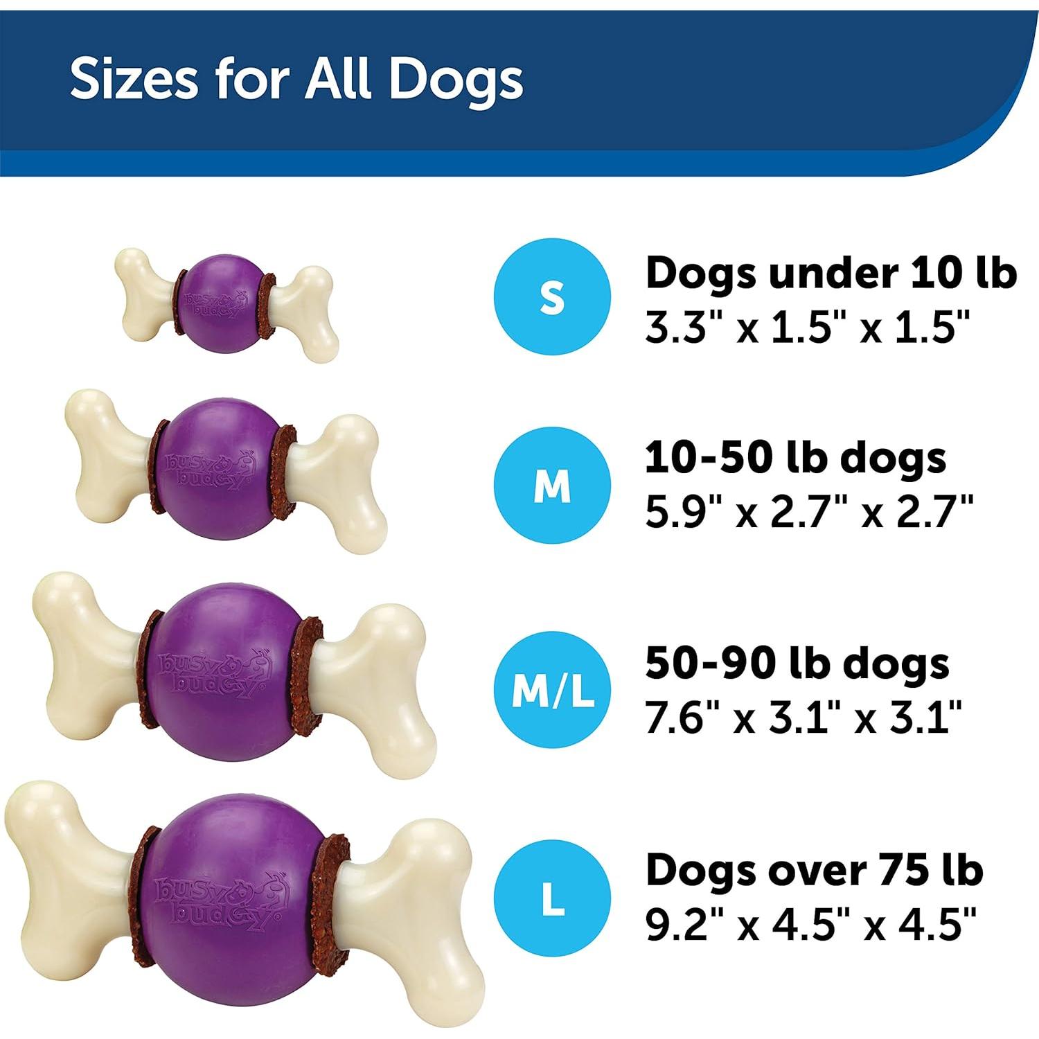 Juguete para Perros PetSafe Busy Buddy Bouncy Bone M/G