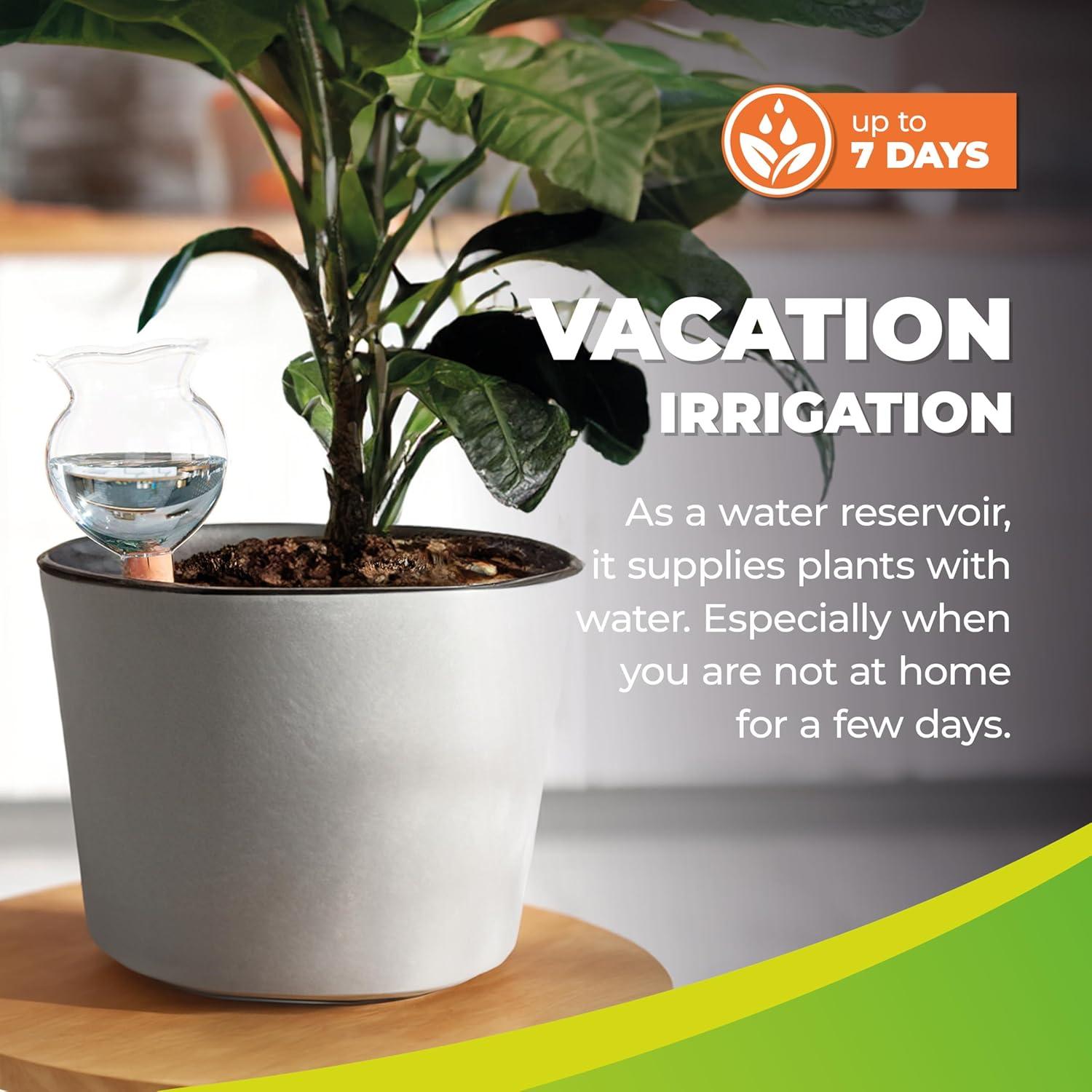 Globo de Autorriego BioGreen Hydro Bloom 200ml para Plantas