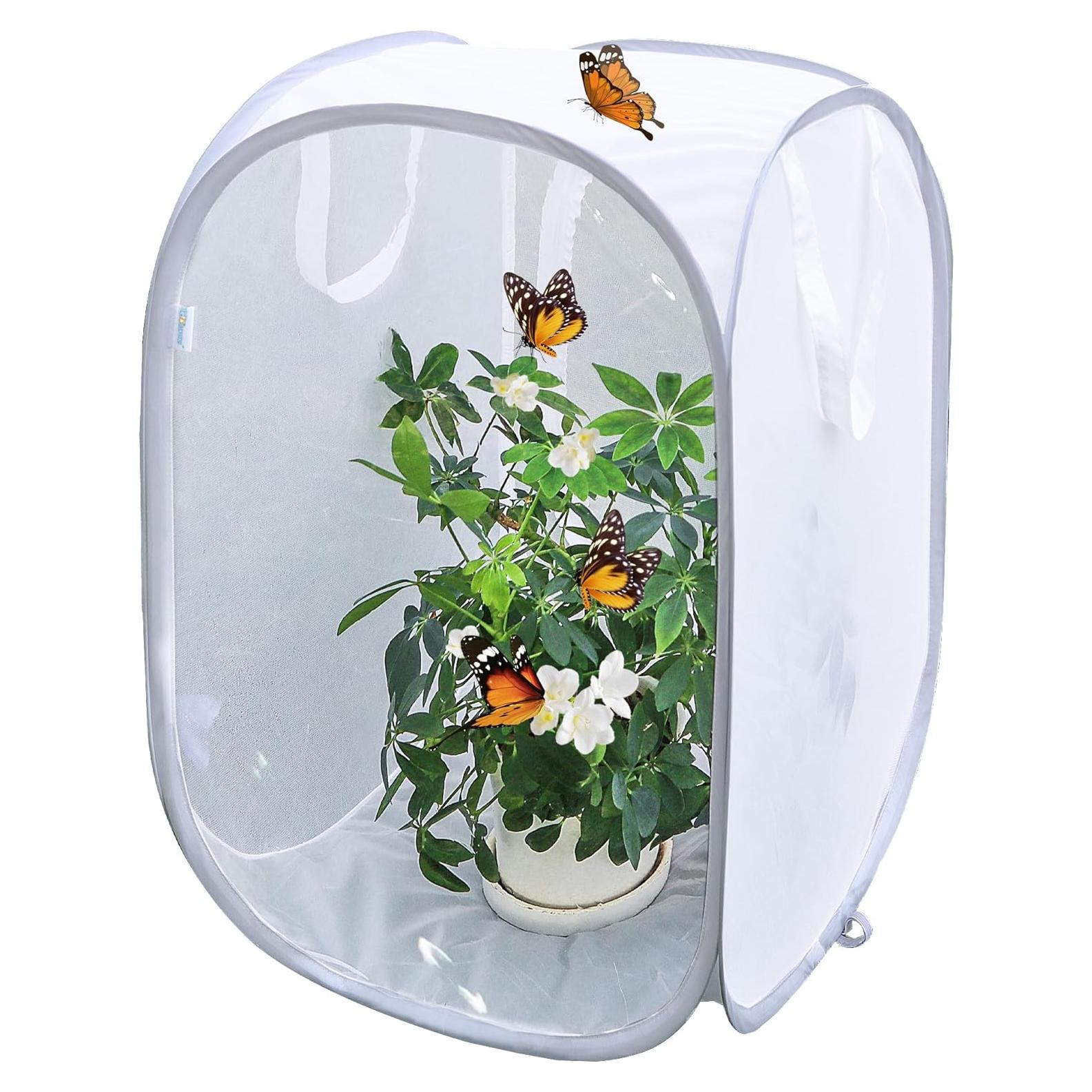 Cápsula de Hábitat para Mariposas GD - 40.64 x 40.64 x 60.96 cm