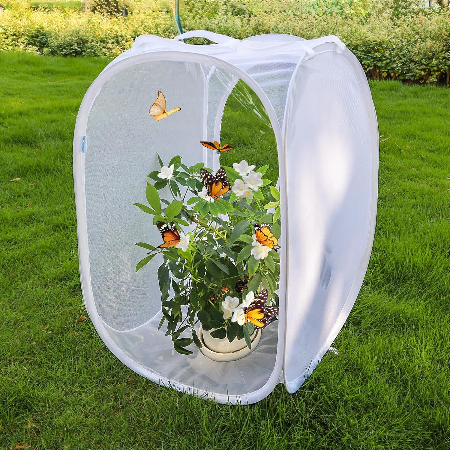 Cápsula de Hábitat para Mariposas GD - 40.64 x 40.64 x 60.96 cm