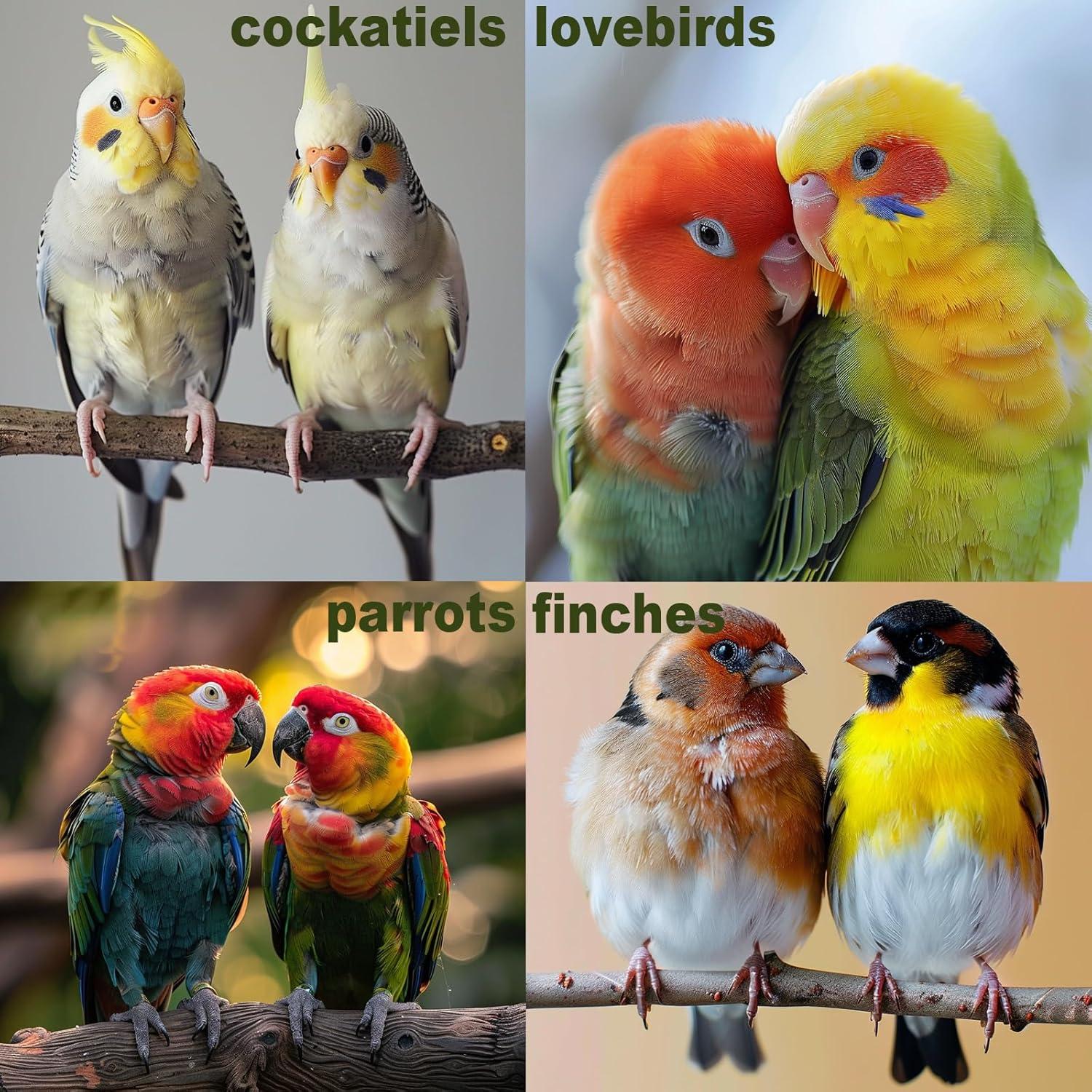 Juguetes para Aves JINJINANV 7 Piezas Madera Natural