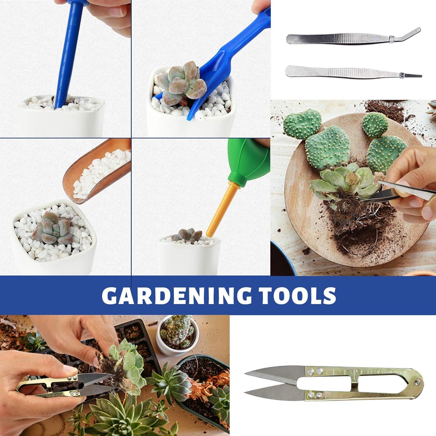 Kit de Herramientas para Suculentas G Good Gain 13 Piezas