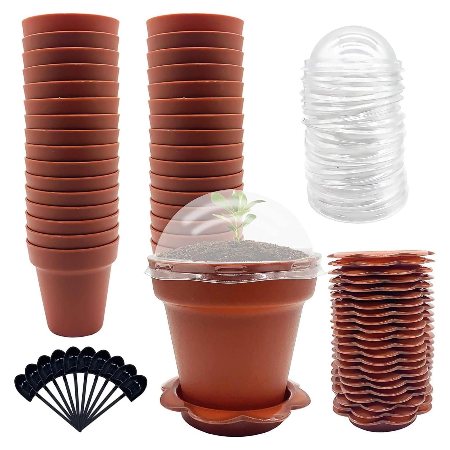 30 Macetas de Vivero PURPLE STAR 1N con Domo de Humedad