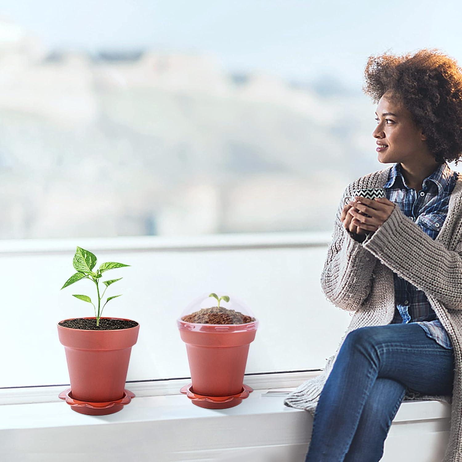 30 Macetas de Vivero PURPLE STAR 1N con Domo de Humedad