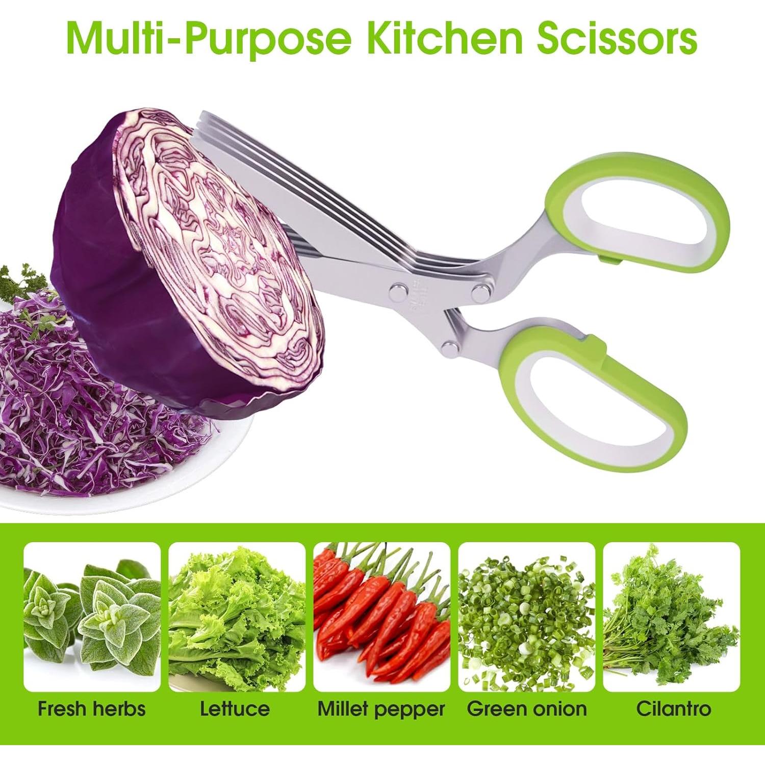 Tijeras de Hierbas HZXSDEG con 5 Cuchillas de Acero Inoxidable