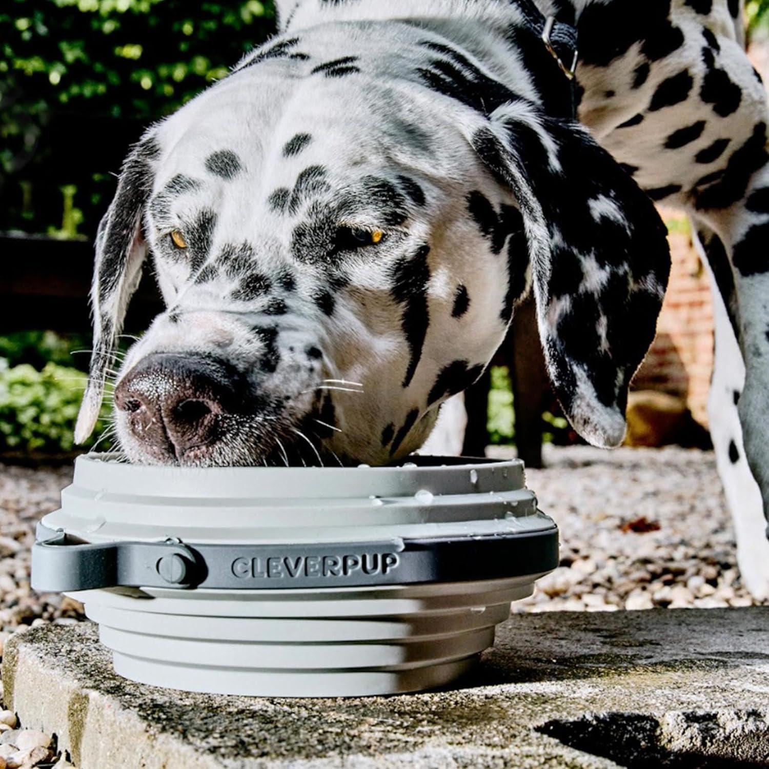 Tazón Colapsable Grande Cleverpup - Silicona 4 Tazas Gris