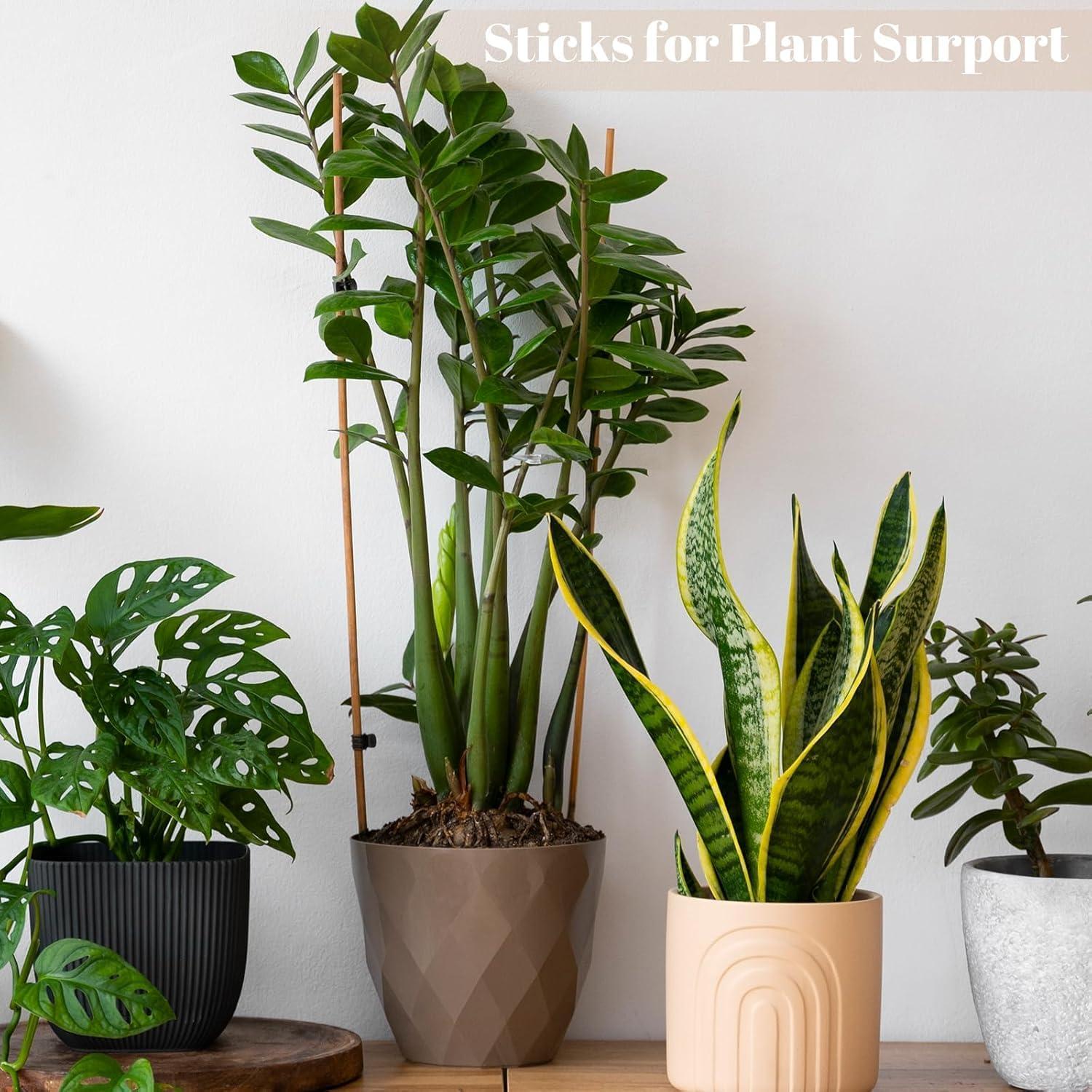 70 Palitos de Bambú para Asar Malvaviscos WSICSE 76 cm