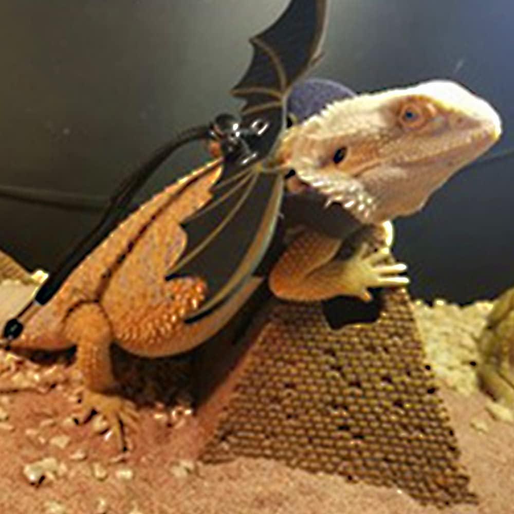 Arnés Ajustable para Dragón Barbudo Abustle Pig - 3 Tamaños