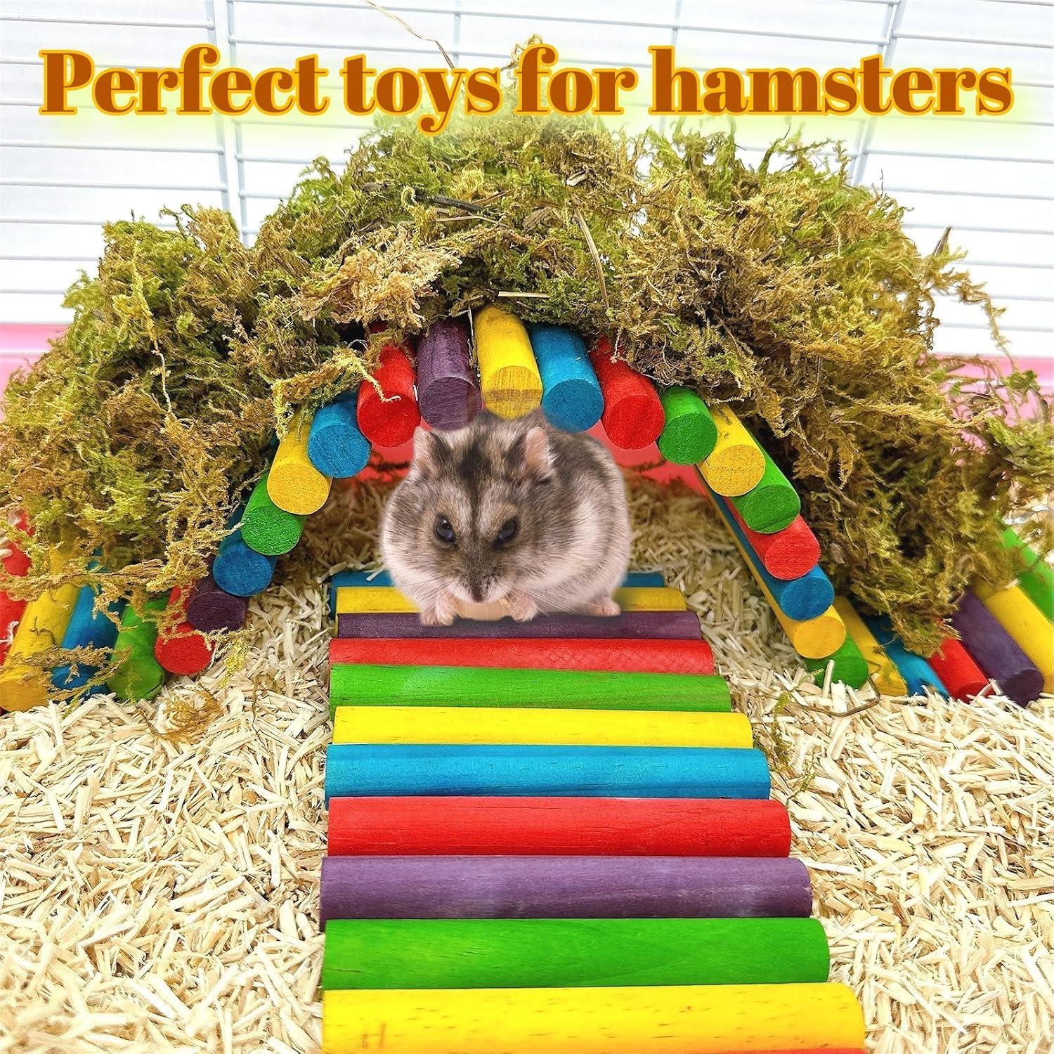 Puente de Madera Colorido para Hámster Hamiledyi 40x10cm