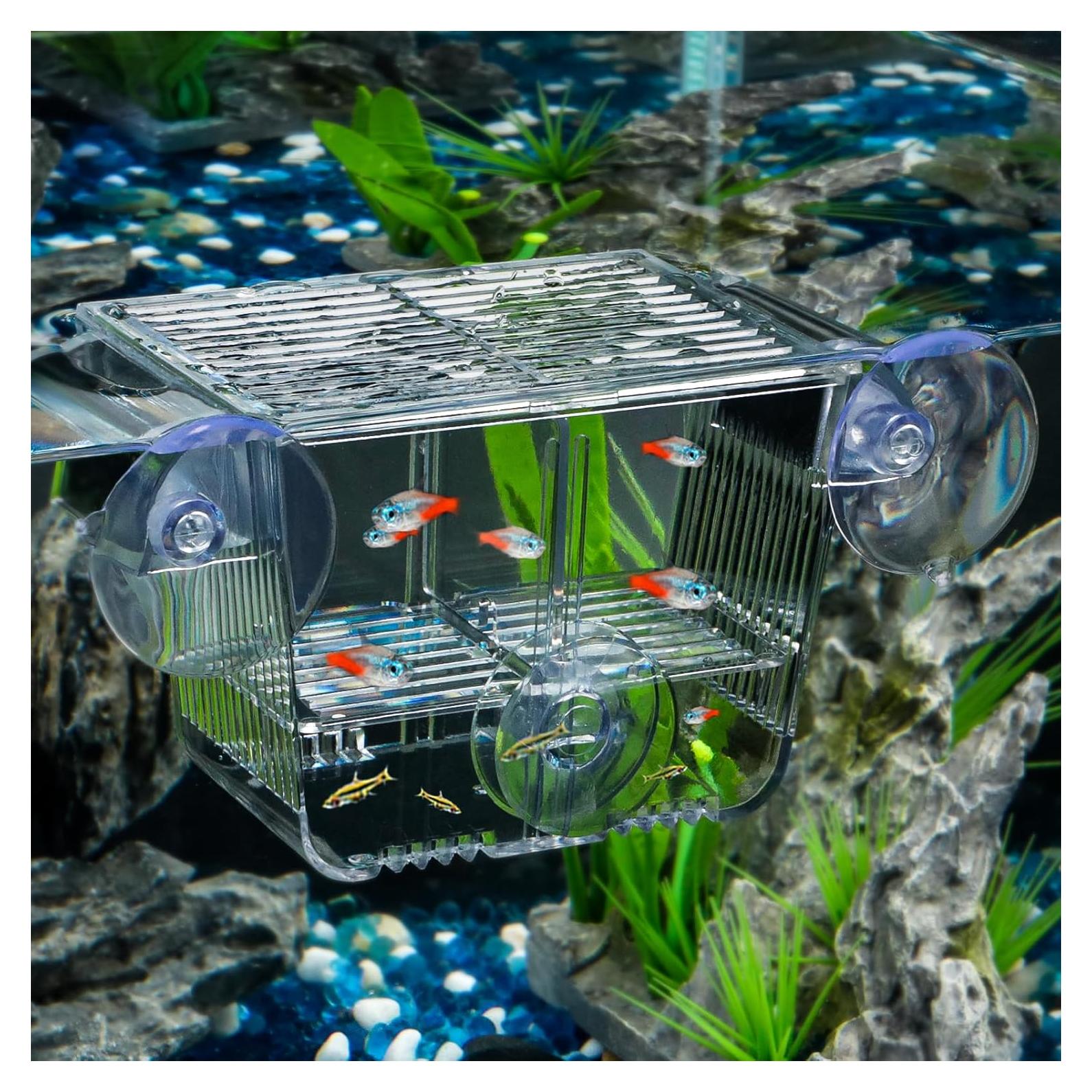 Caja de Cría de Peces Pawfly Pequeña 8.4x6.4x7.1cm Acrílico