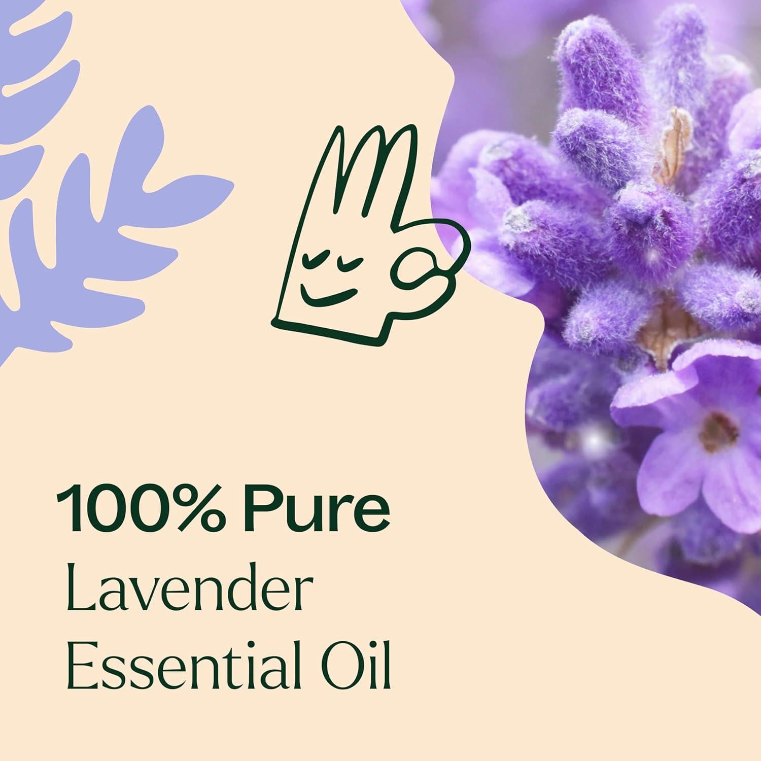 Aceite Esencial de Lavanda Plant Therapy 100% Puro 10 mL
