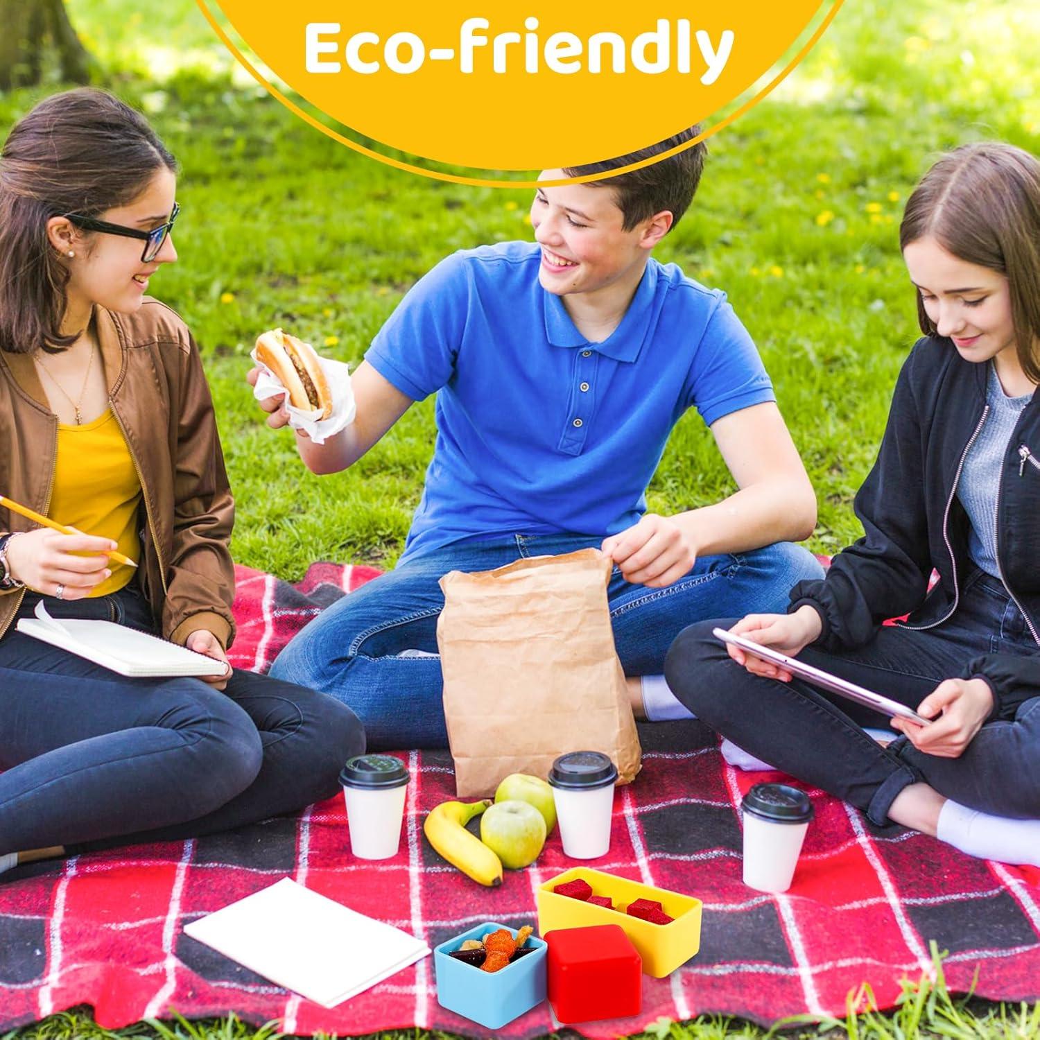 Divisores de Caja Bento de Silicona LTGUIJIAO 9 Compartimentos