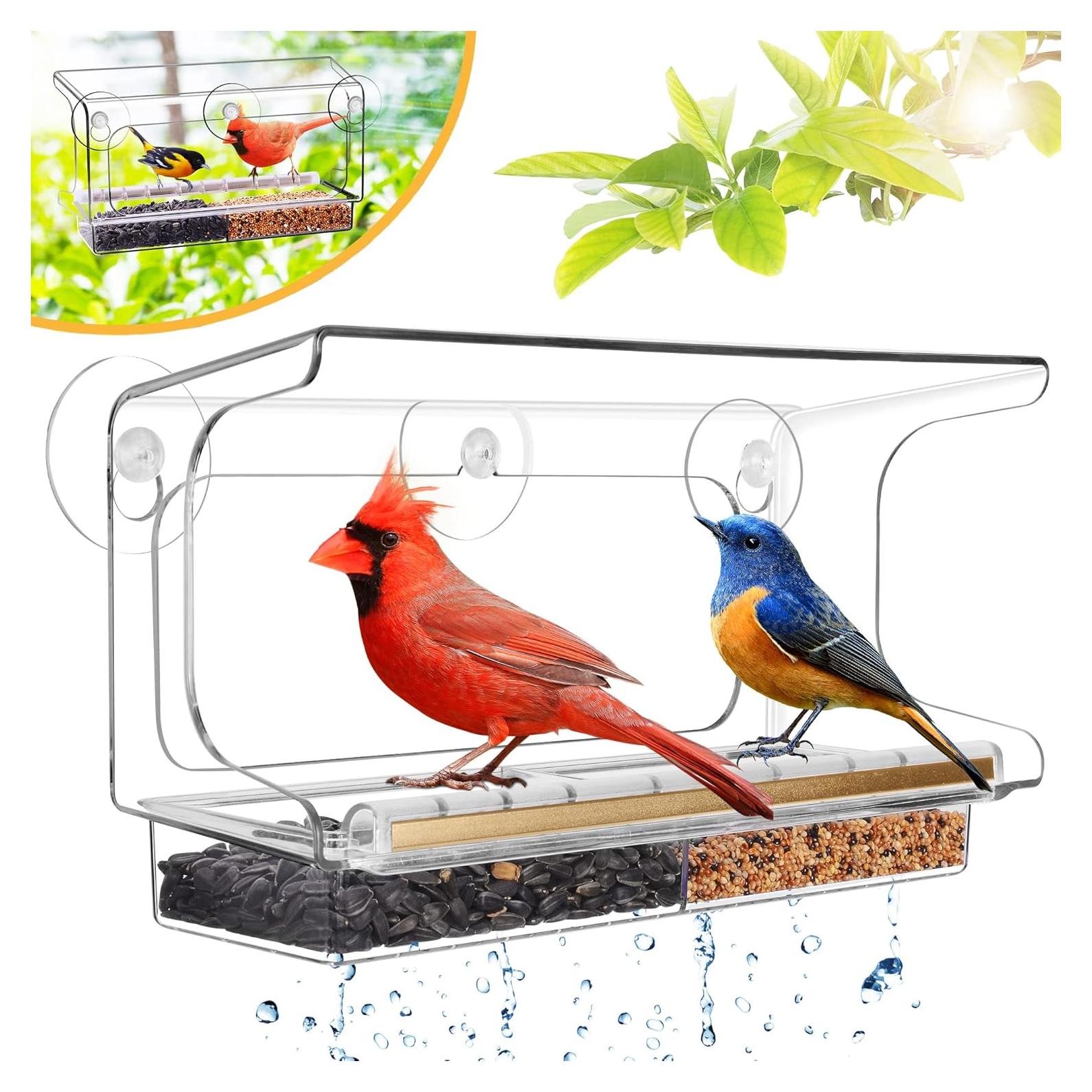 Comedero para Aves LUJII de Ventana Transparente 4 Tazas