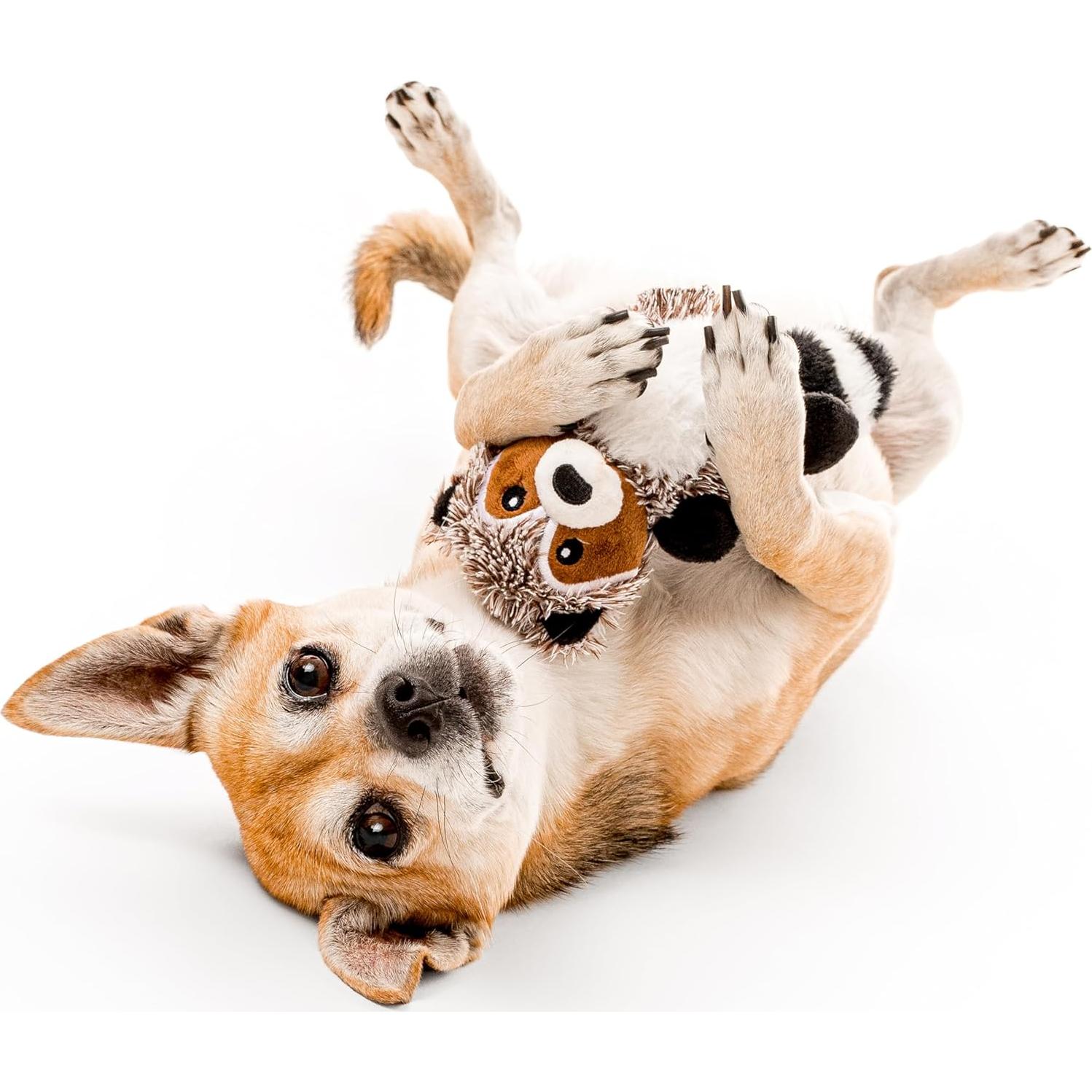 Juguete de Peluche para Perros Playology Raccoon 6x12 cm