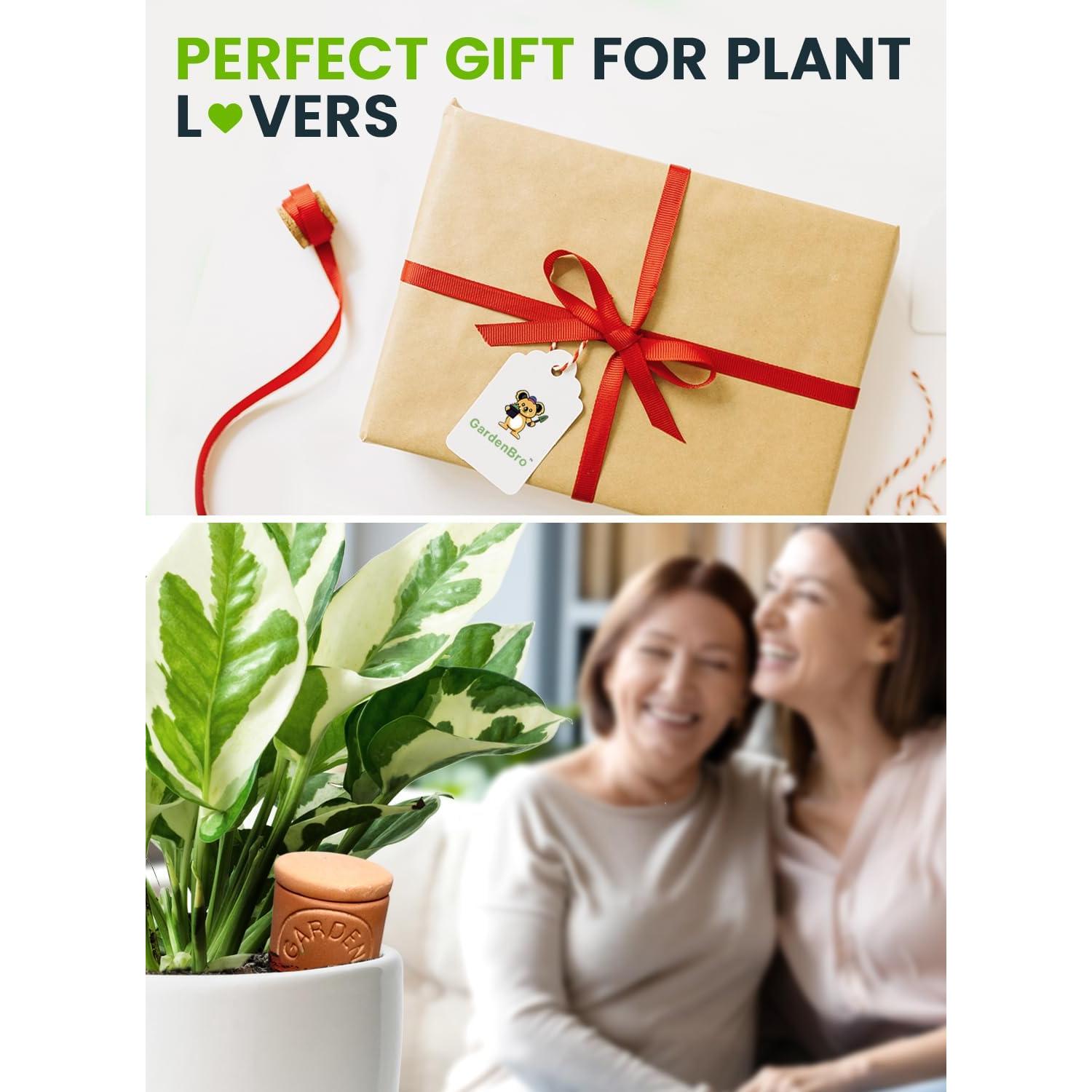 Olla de Riego de Terracota Gardenbro 14 oz para Plantas