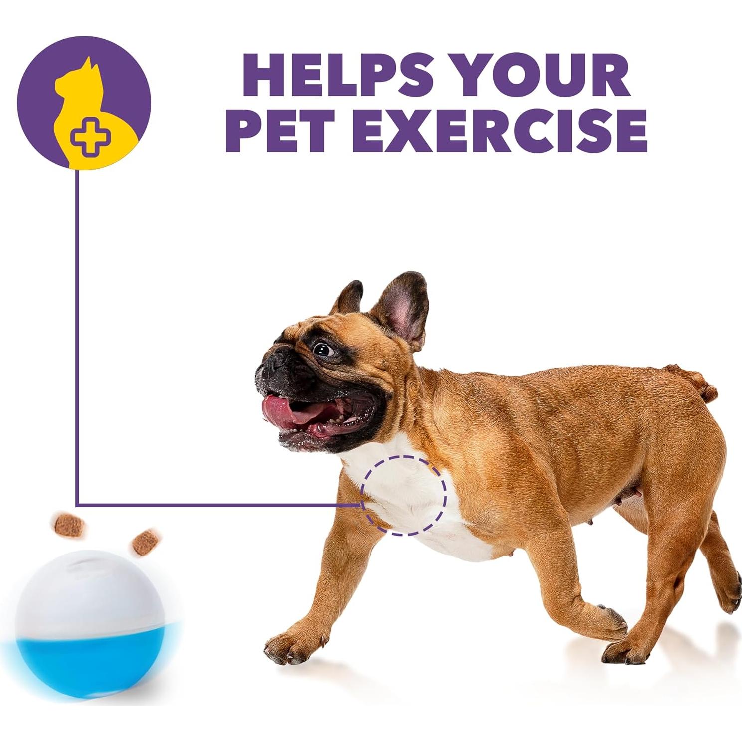 Dispensador de Juguetes Amicus Bola Loca Azul 100g