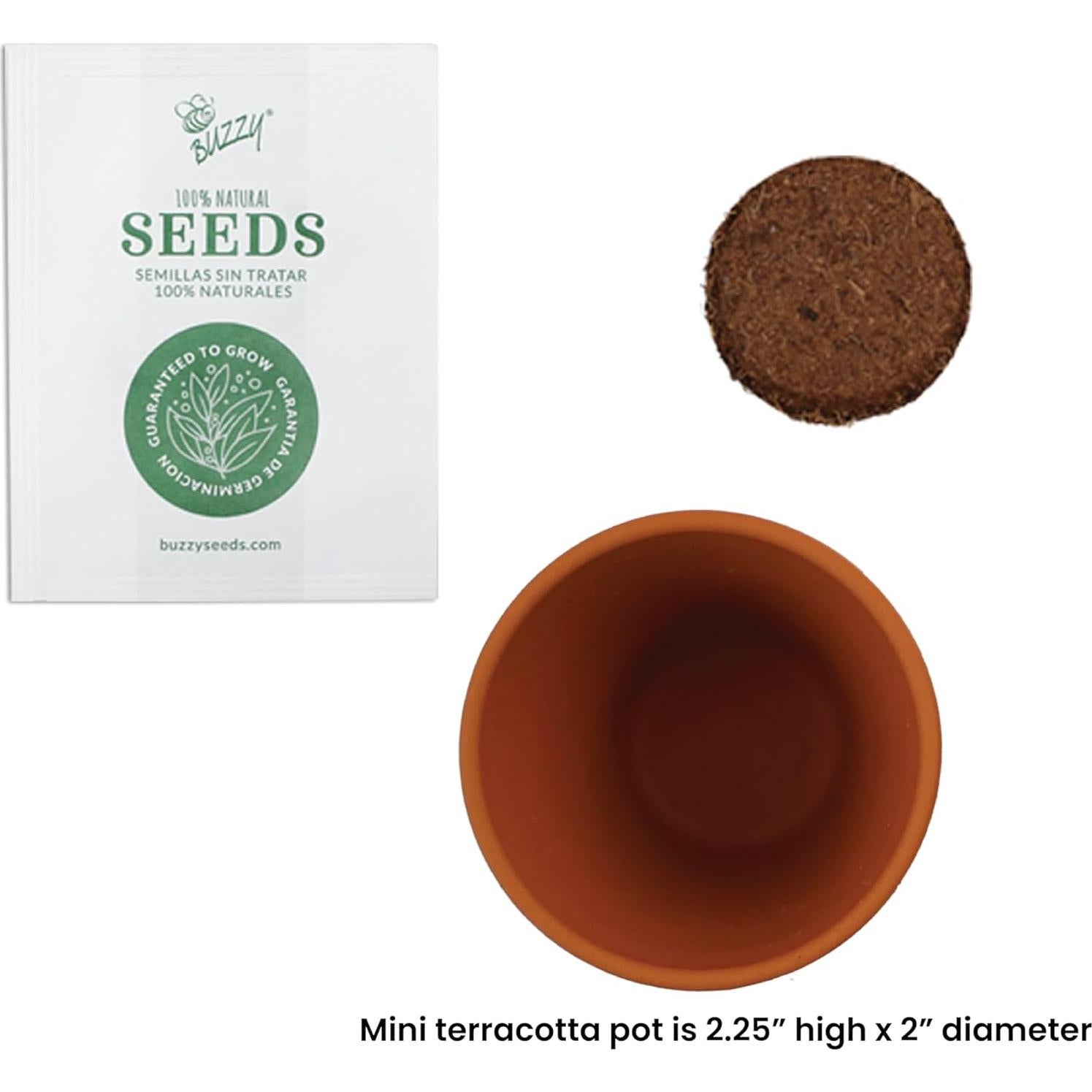 Kit de Cultivo Buzzy 12 Macetas Terracota Amigos Festivos