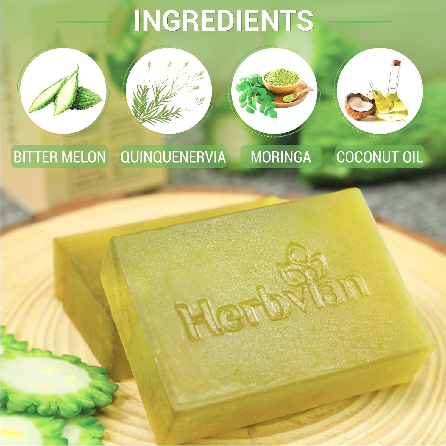 Jabón Antibacteriano Herbal 2 PCS Melón Amargo Moringa 200g