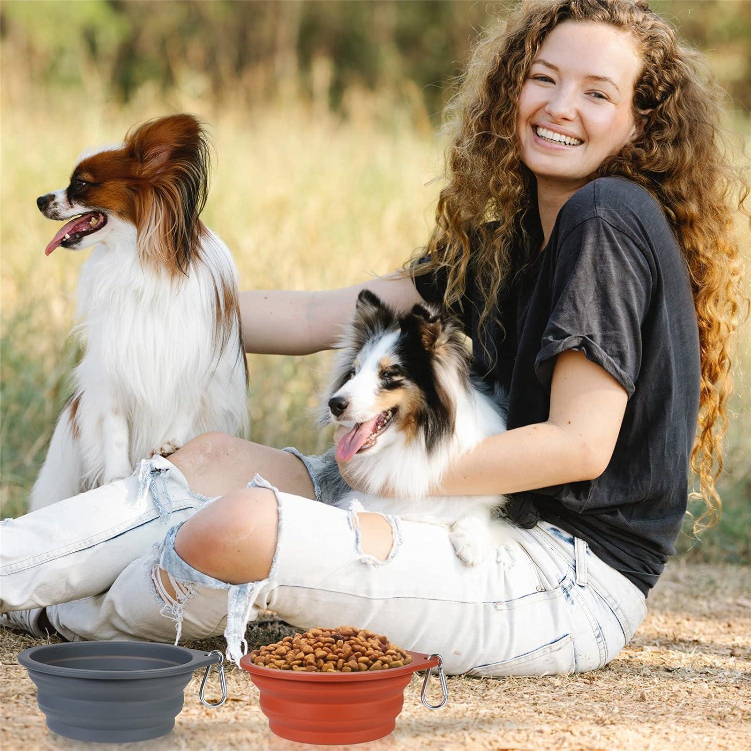 Cuencos Plegables para Perros SLSON 600ml Marrón y Gris