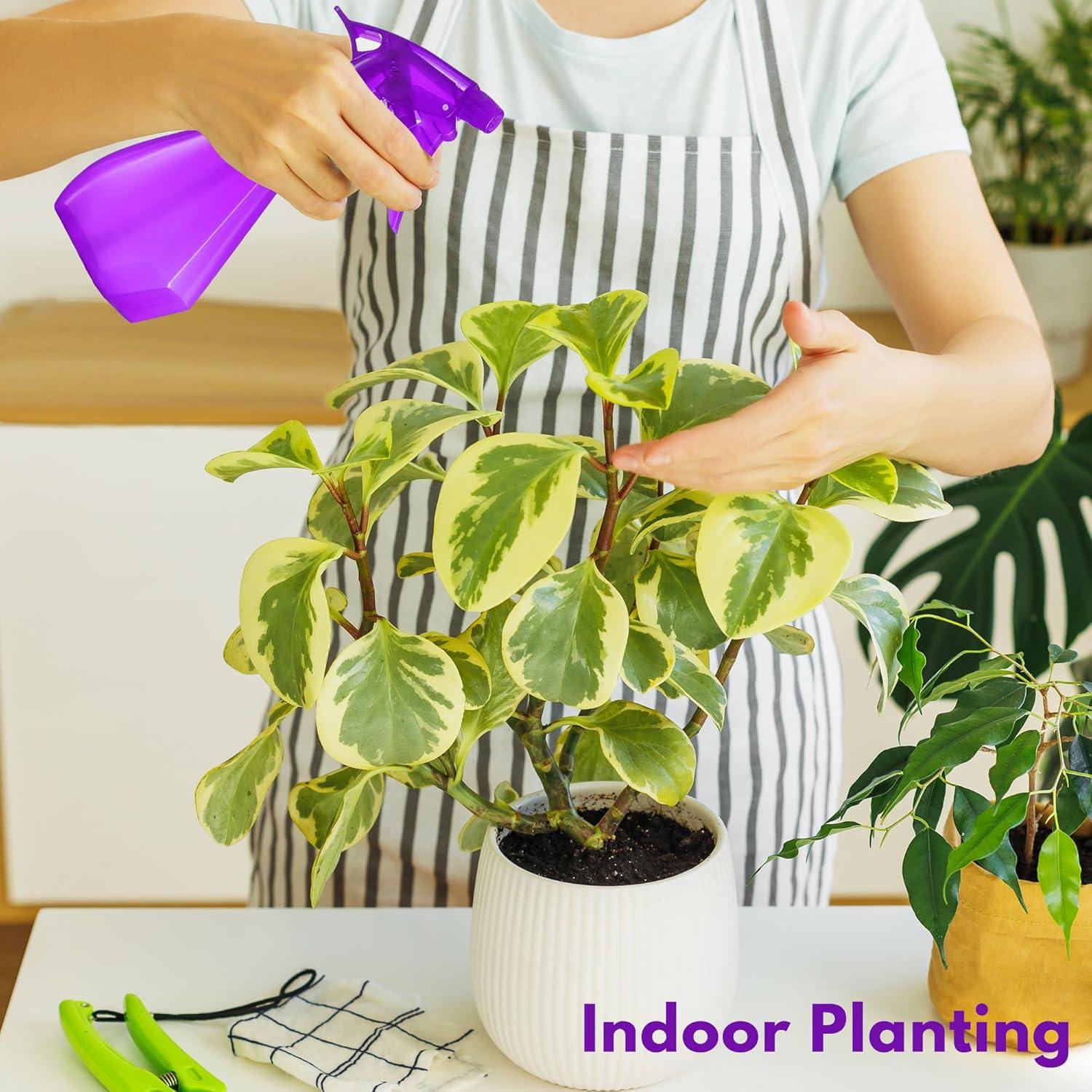 Botellas de Spray DilaBee 8oz 2-Pack Azul y Púrpura