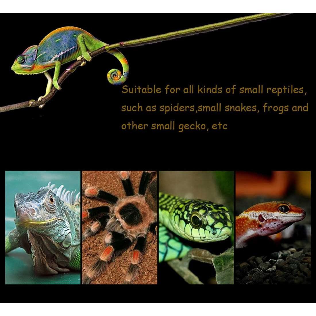 Caja de Alimentación para Reptiles Kathson 26x18cm 2PCS Negra