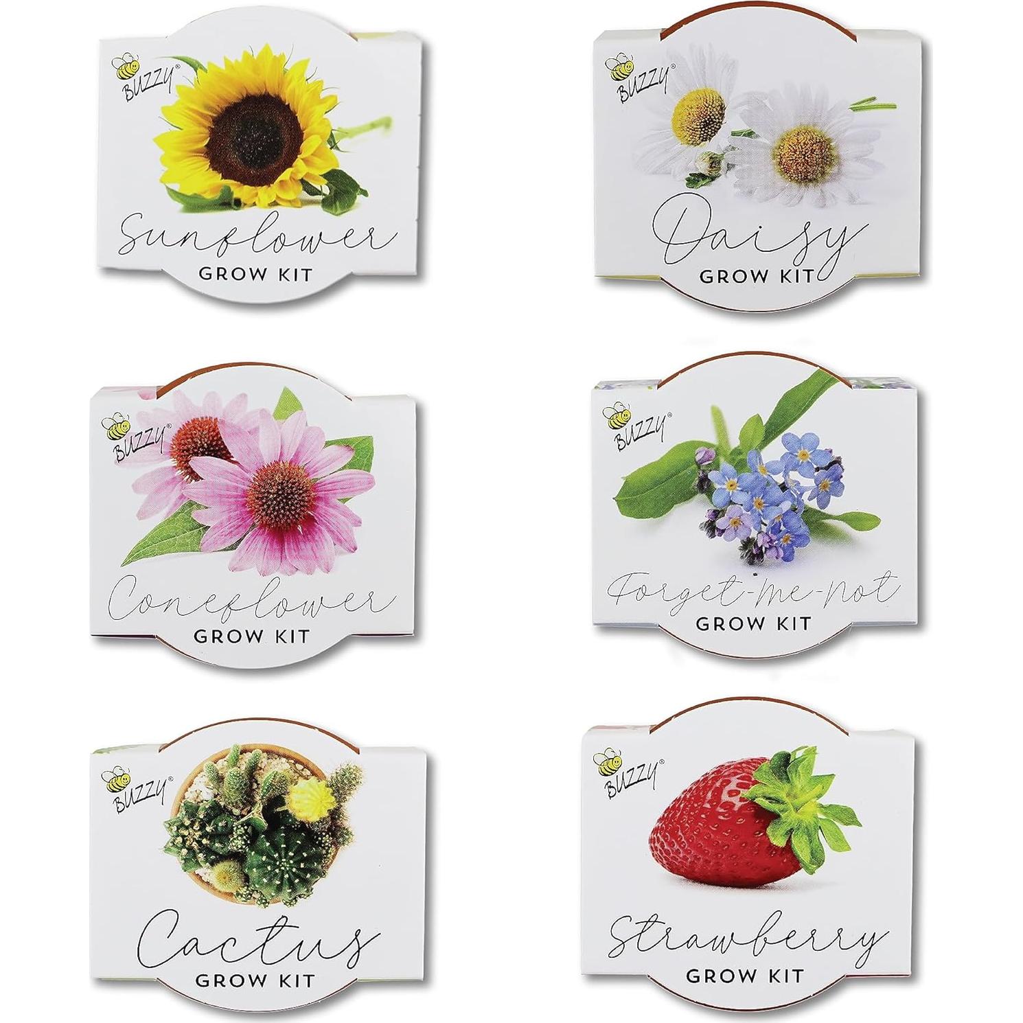 Kit de Semillas en Macetas de Terracota Buzzy - 6 Piezas