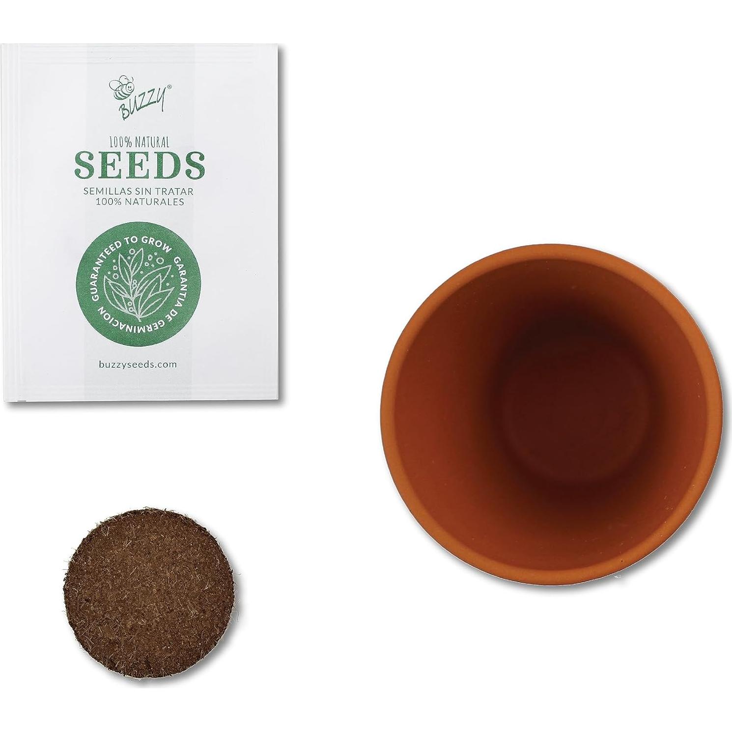 Kit de Semillas en Macetas de Terracota Buzzy - 6 Piezas