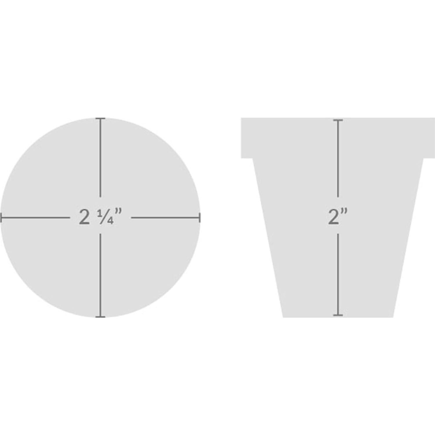 Kit de Semillas en Macetas de Terracota Buzzy - 6 Piezas