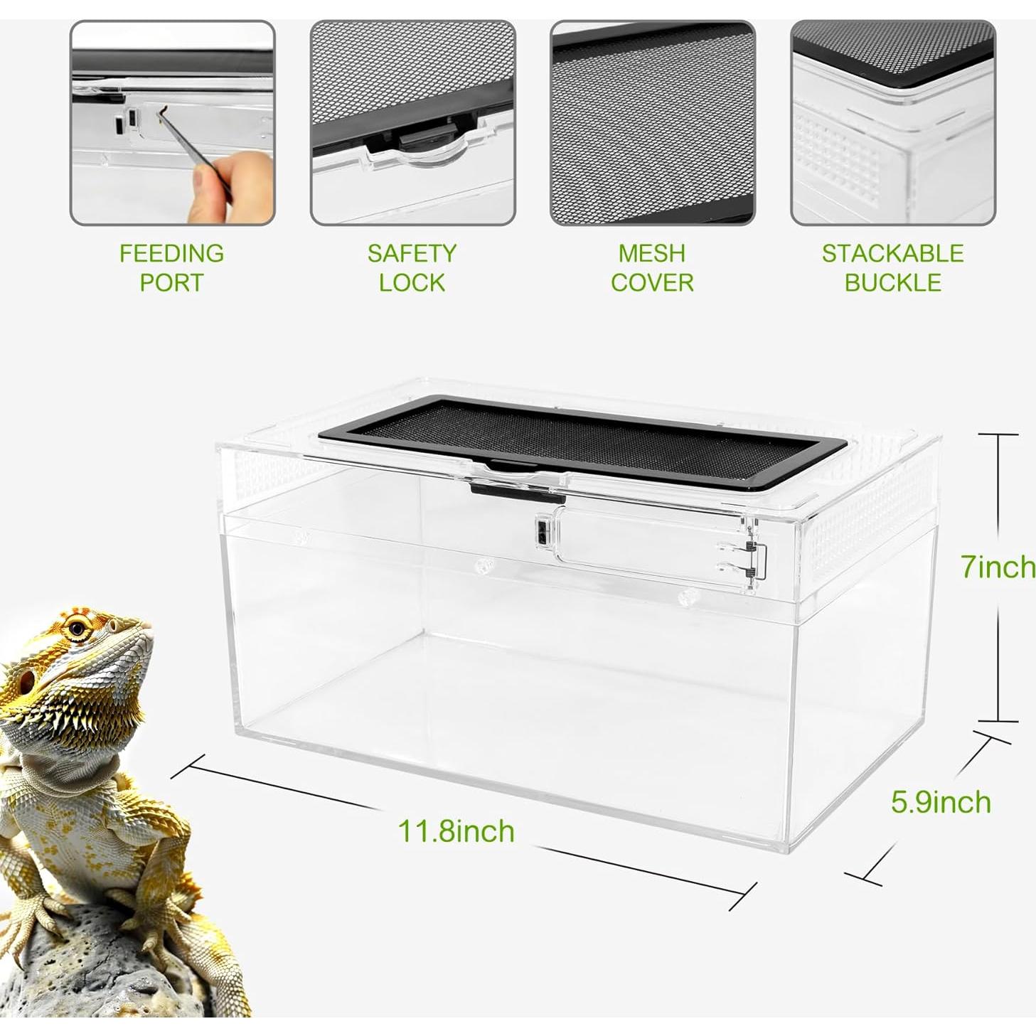 Terrario de PC Clioran 30x17.8x15 cm para reptiles y anfibios