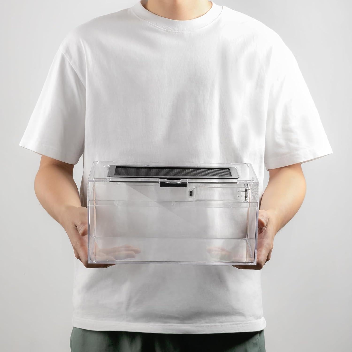 Terrario de PC Clioran 30x17.8x15 cm para reptiles y anfibios