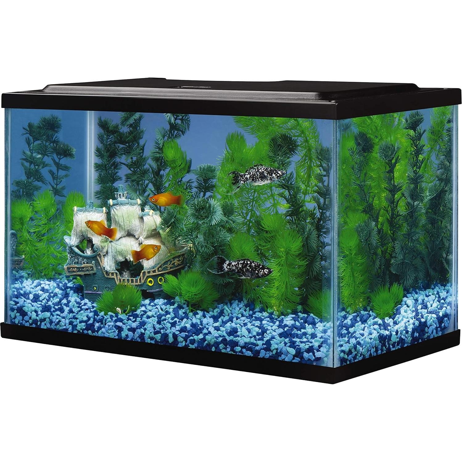 Acuario de vidrio Tetra 5.5 galones 40.6x20.3x25.4 cm