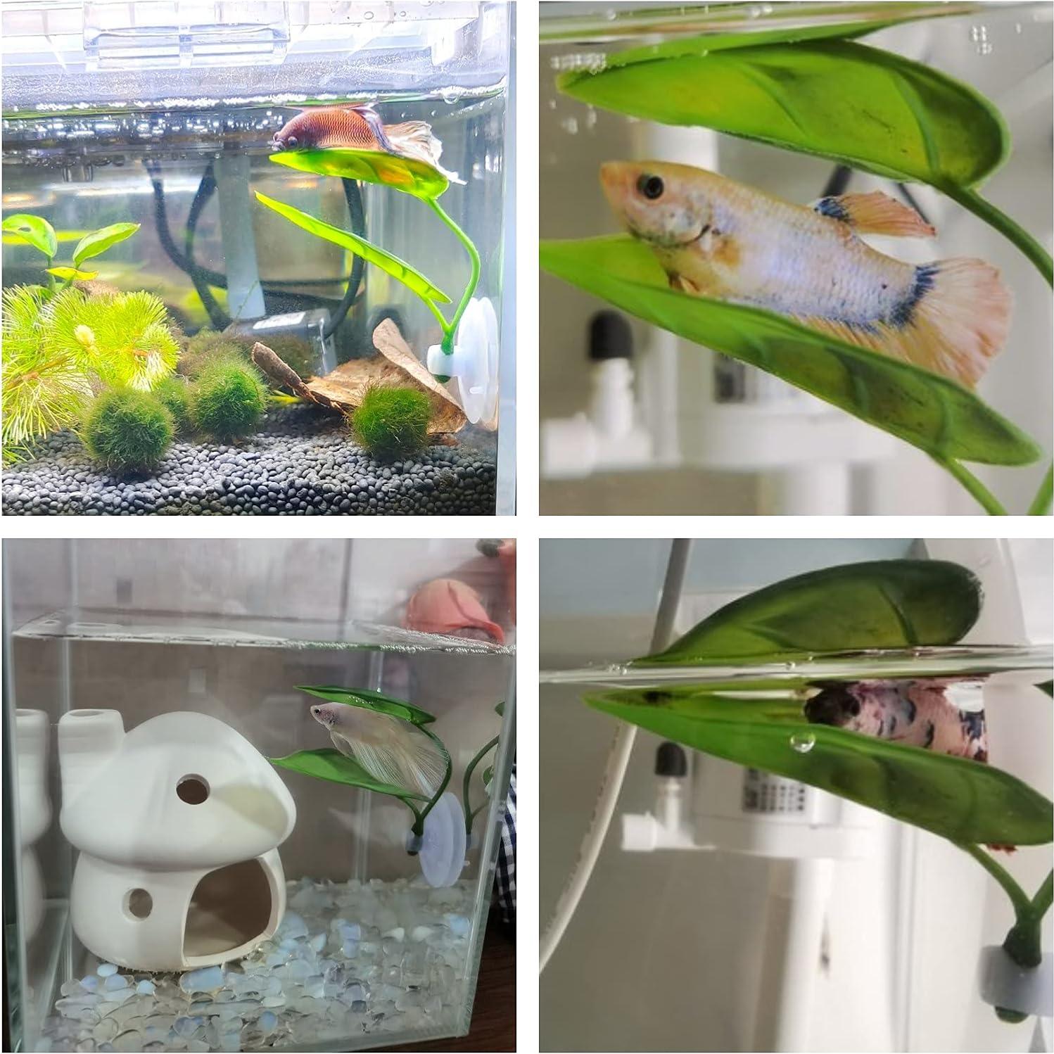 Aqua Betta Fish Leaf Soft Bed Simulating The Natural Habitat for Betta Spawning Grounds Breeding Resting Bed Plastic Suction Cup (2pcs)