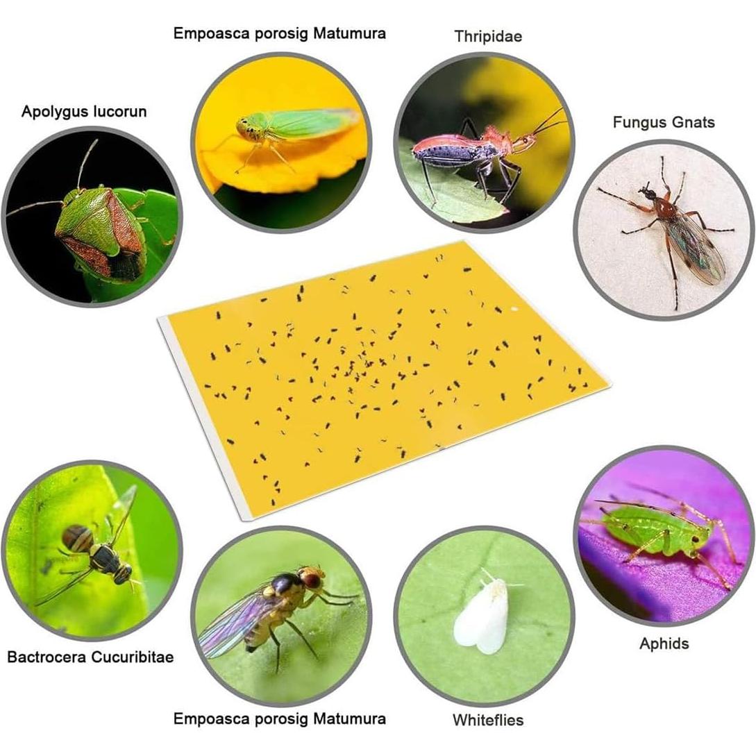 Trampas Adhesivas Amarillas Gideal 20 Piezas 15x20 cm Insectos