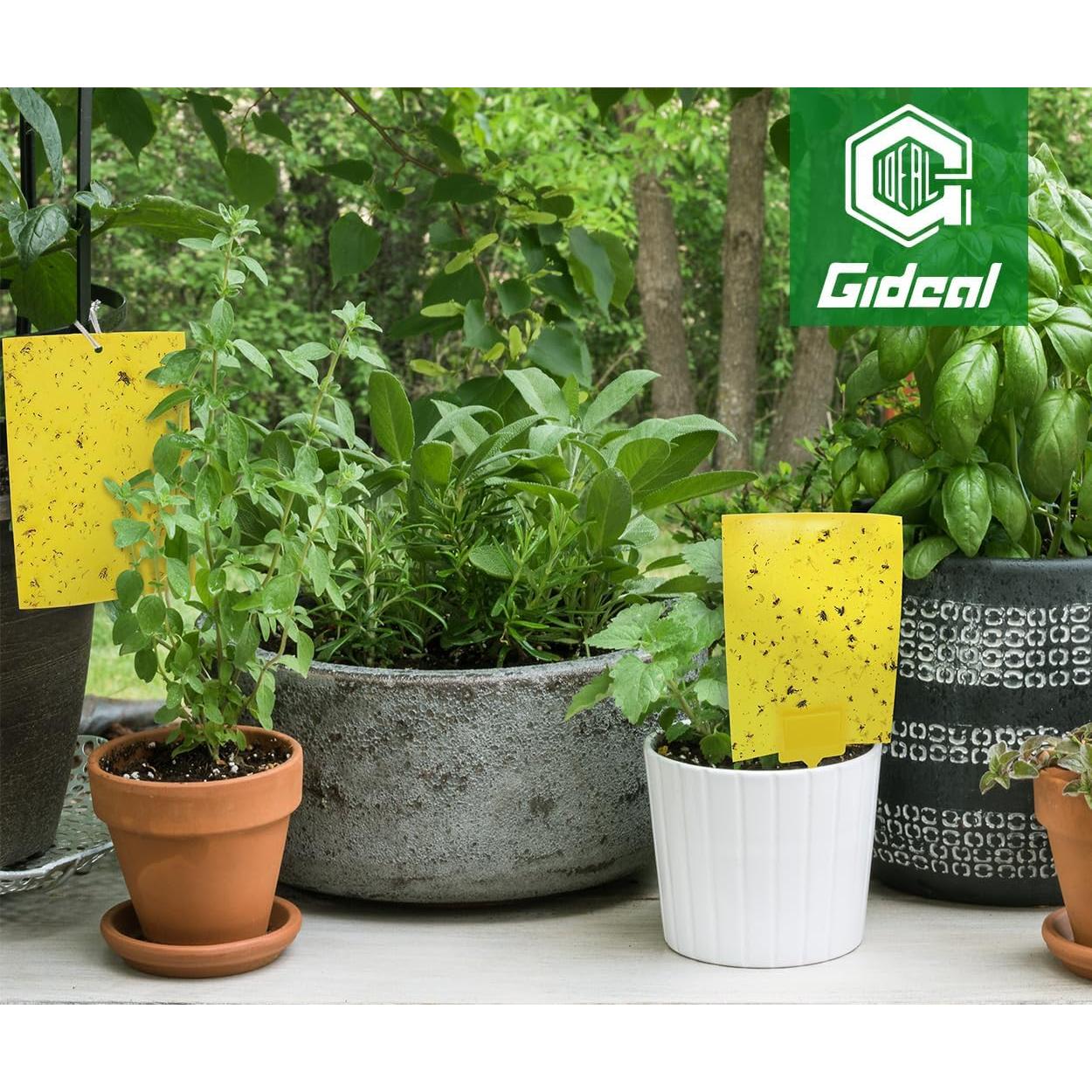 Trampas Adhesivas Amarillas Gideal 20 Piezas 15x20 cm Insectos