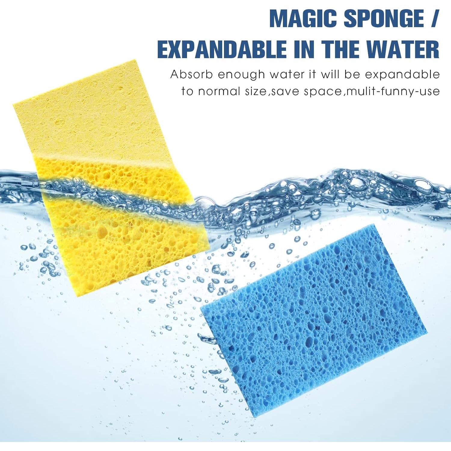 Esponjas de Cocina Biodegradables PANYEE 12 Pack Multicolor