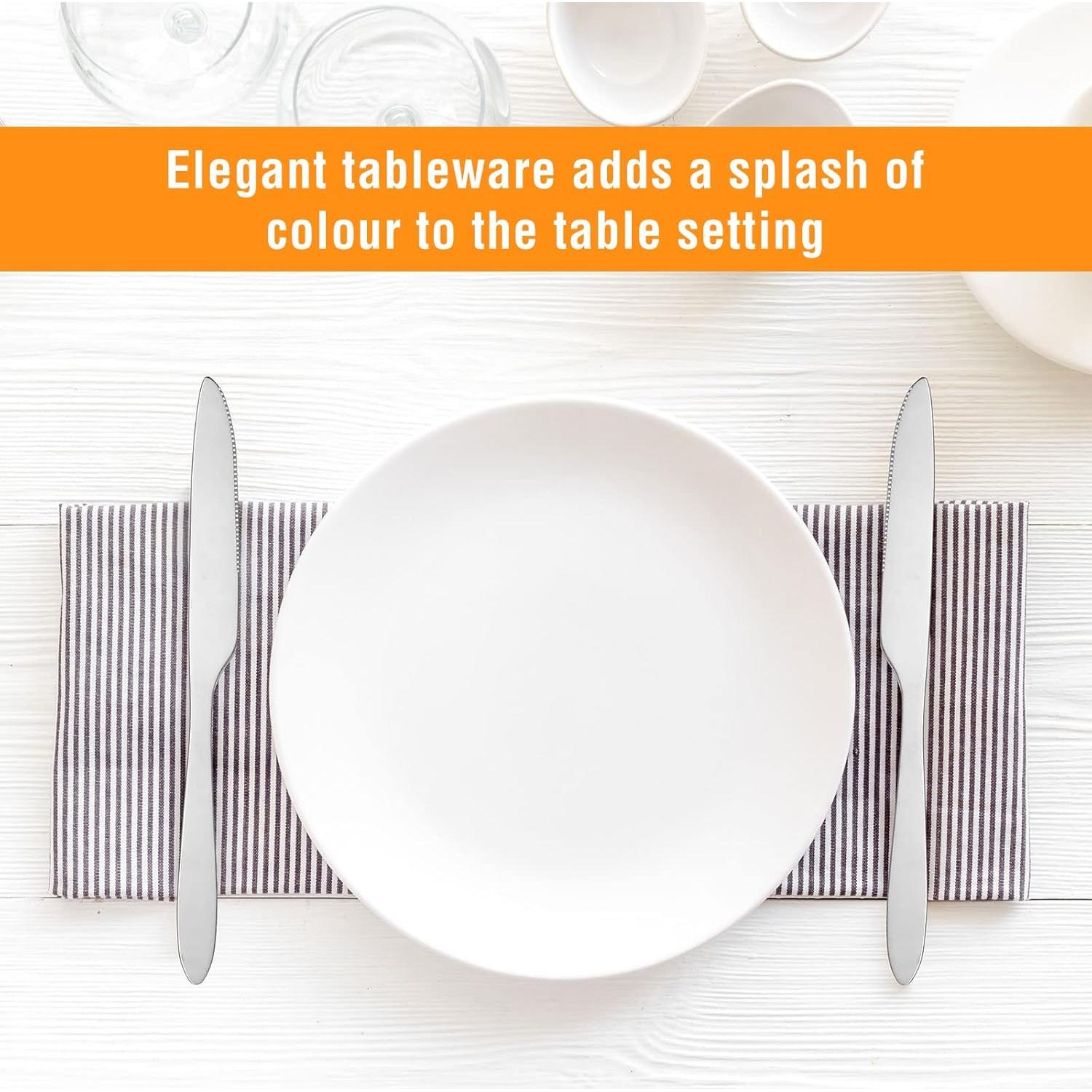 Juego de 100 Cuchillos de Cena Nuenen 21 cm Acero Inoxidable