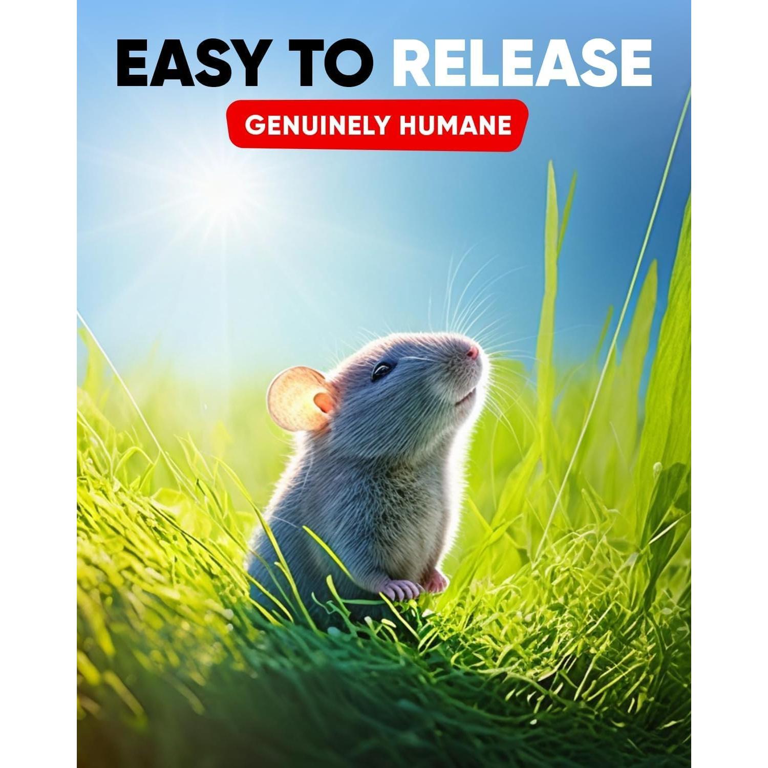 Trampas de Ratones Humanas CTB Dealz - Paquete de 2 Reutilizables