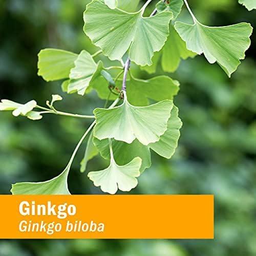 Extracto Líquido de Ginkgo Biloba Herb Pharm 29.57 ml
