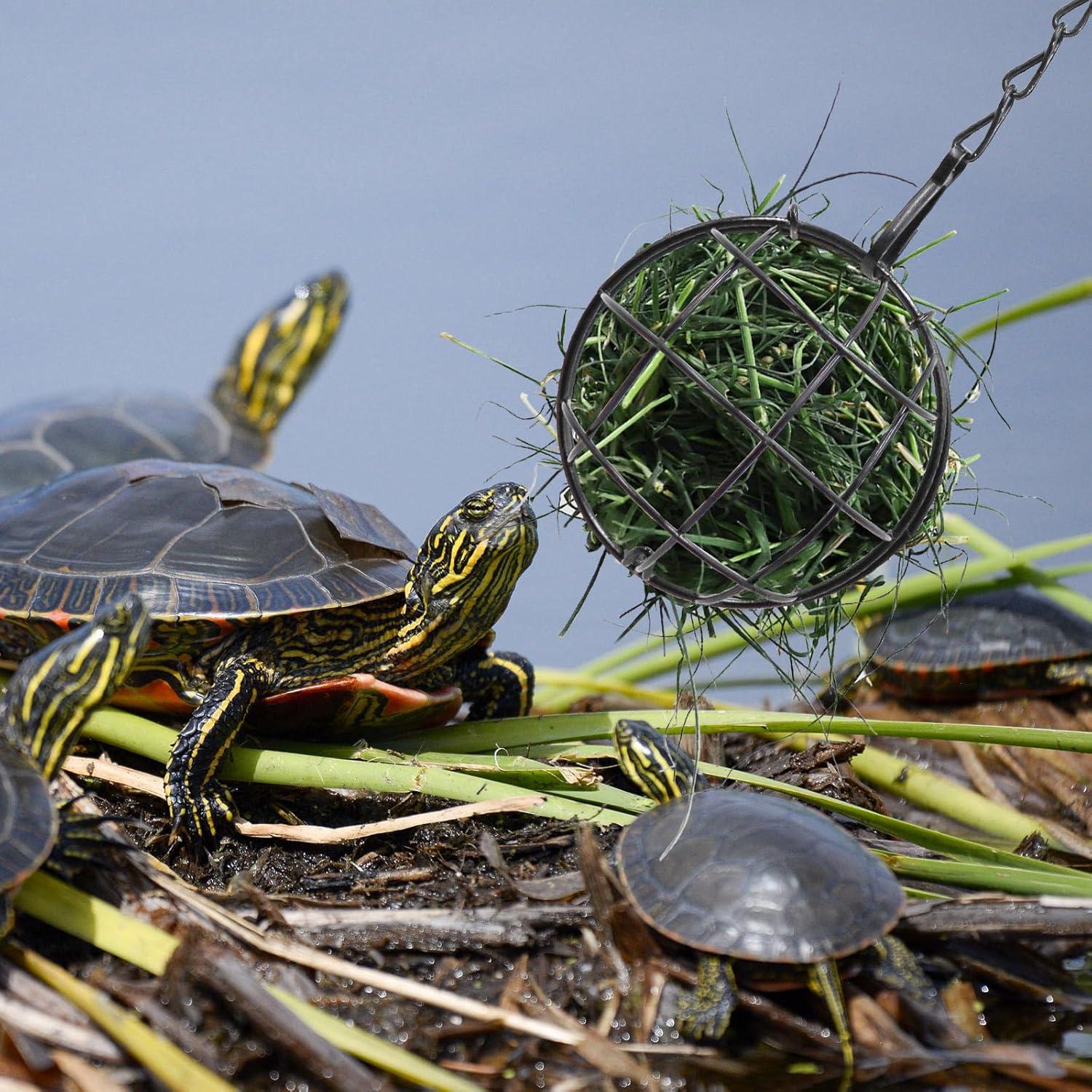 Bola Alimentadora Colgante para Tortugas Neeenn 7.87 cm Acero Inoxidable