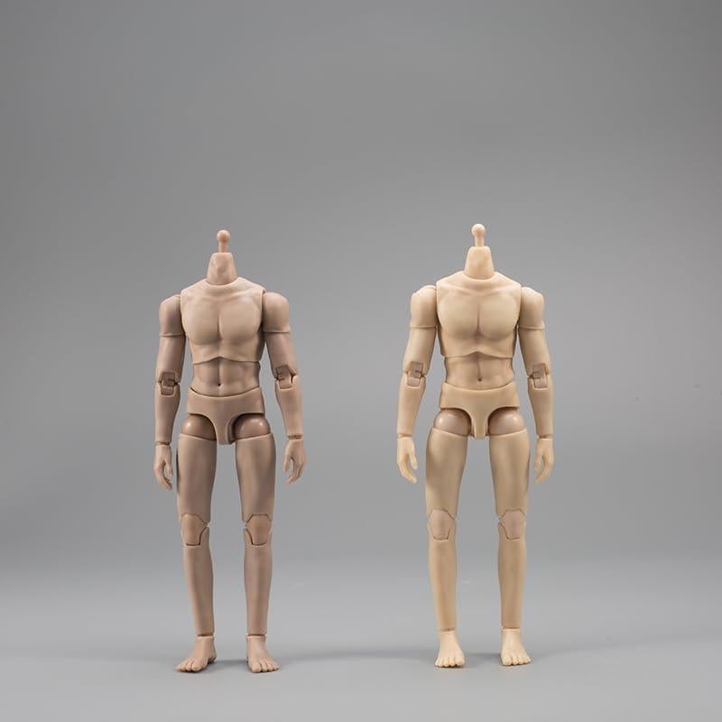 Cuerpo Masculino Escala 1/12 Fremego Figura de Acción Flexible