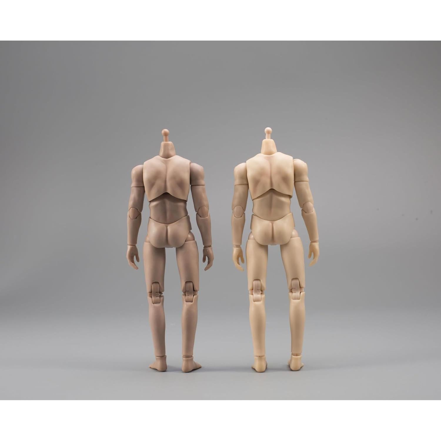 Cuerpo Masculino Escala 1/12 Fremego Figura de Acción Flexible